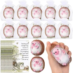 10 Set Hedgehog Stress Balls Inspirational Gifts for Kids Bulk Hedgehog Toys Set Foam Relief Gift with Motivational Cards Organza Bags for Girls Boys End of Years Student Gifts