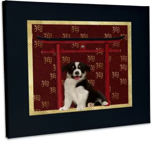 3dRose, Border Collie, Red Asian Arch, Scattered Sign of the Dog, Gold, Museum Grade Canvas Wrap 20x16