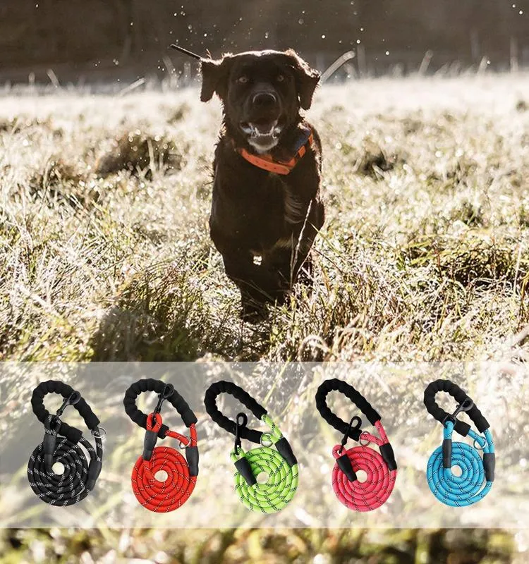 5ft Leash w/ Comfortable Padded Handle & Reflective Threads