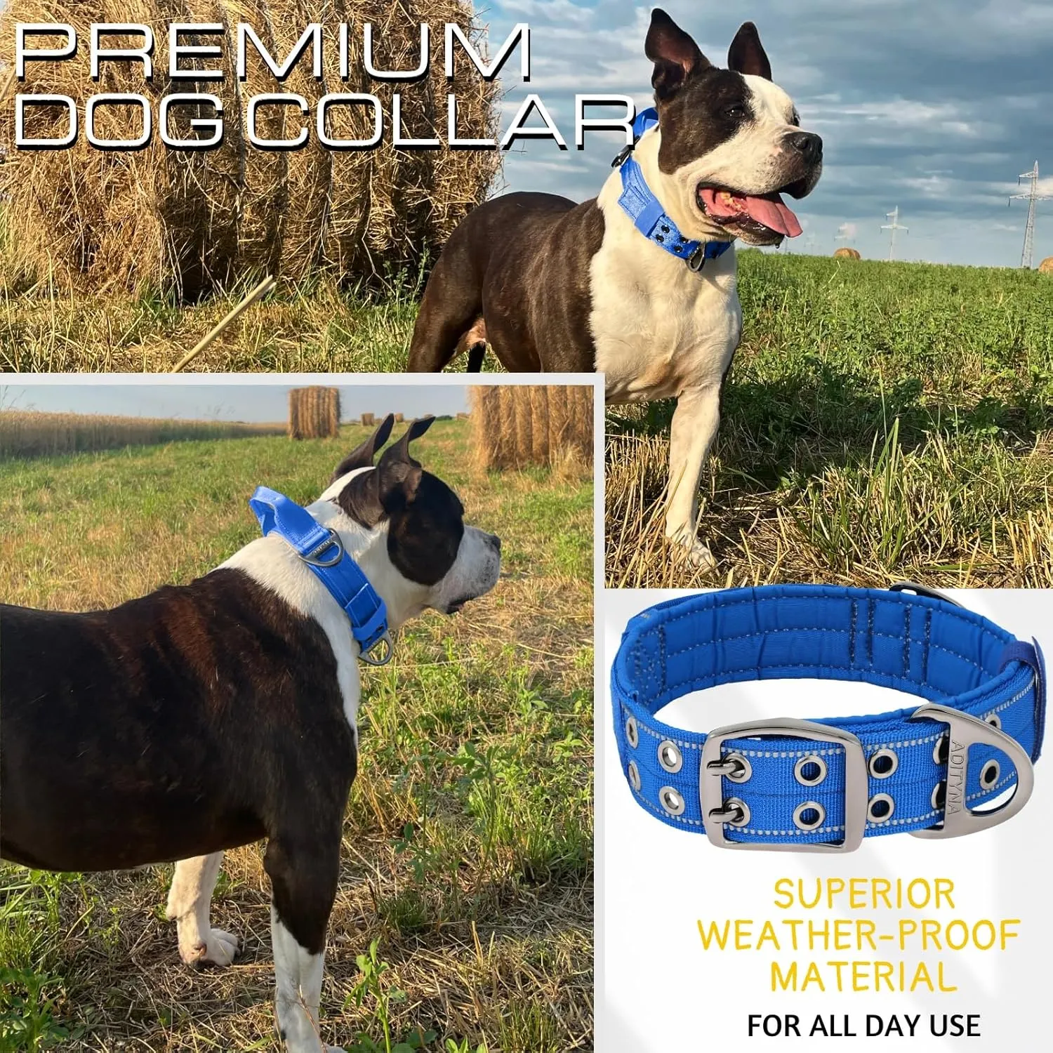 ADITYNA Heavy Duty Dog Collar for Extra-Large Dogs - Reflective Blue Purple Collar with Handle for Training, and Walking - Wide, Thick, Tactical, Soft Neoprene Padded