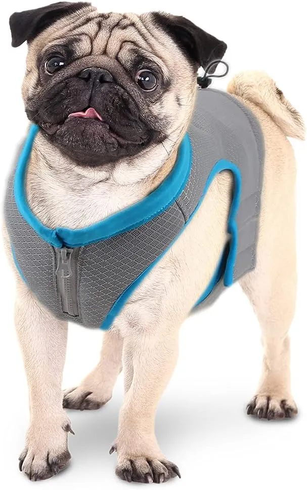 ALL FOR PAWS Cooling Vest Dog Cooling Shirts Breathable Instant Cooling Dogs Vest Lightweight for Summer Dog Clothes (M)