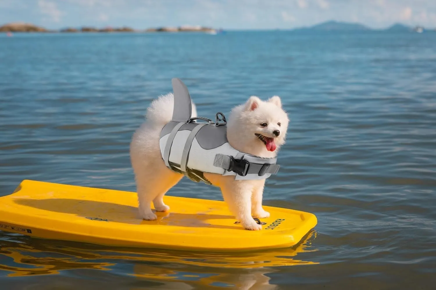 ASENKU Dog Life Jacket - Pet Safety Vest for Swimming & Boating, Shark Life Jacket with Floatation, Dog Lifesavers Swimsuits for Small Medium Large Dogs (Grey, S)