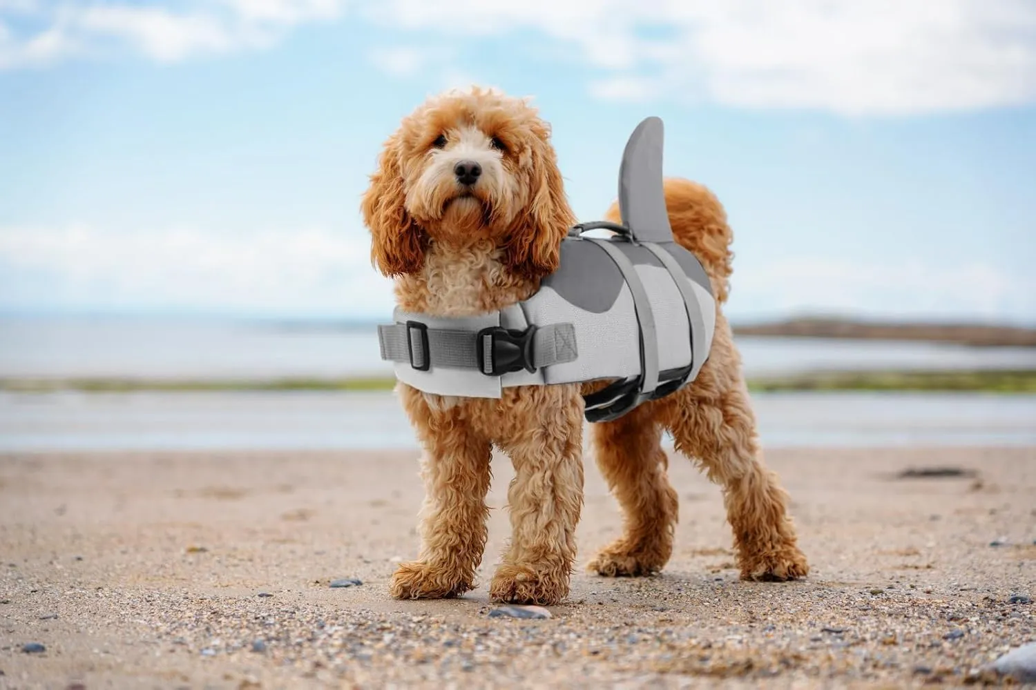 ASENKU Dog Life Jacket - Pet Safety Vest for Swimming & Boating, Shark Life Jacket with Floatation, Dog Lifesavers Swimsuits for Small Medium Large Dogs (Grey, S)