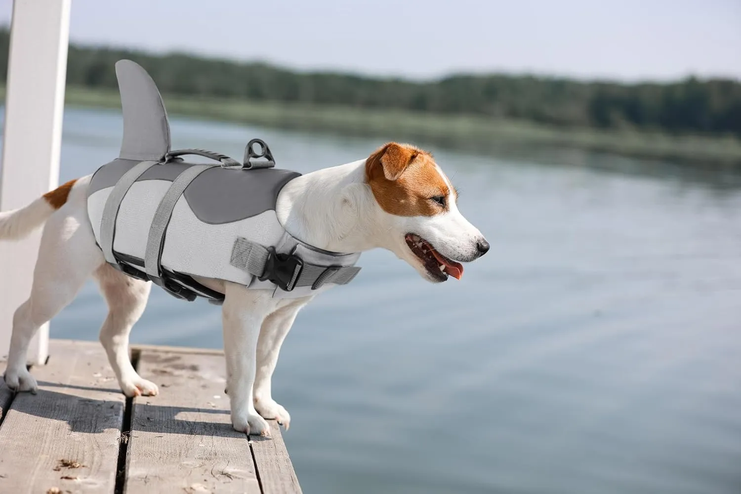 ASENKU Dog Life Jacket - Pet Safety Vest for Swimming & Boating, Shark Life Jacket with Floatation, Dog Lifesavers Swimsuits for Small Medium Large Dogs (Grey, S)
