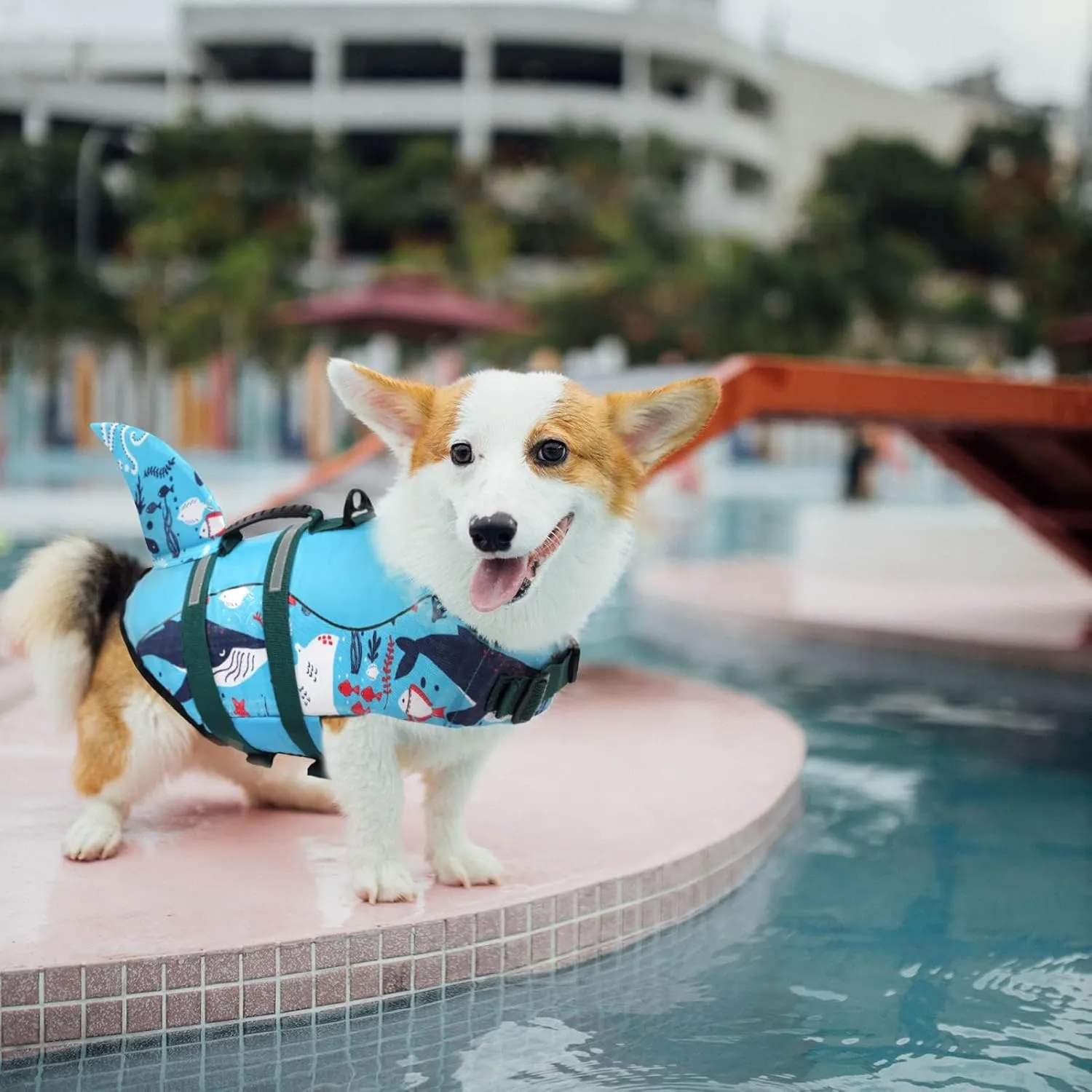 ASENKU Dog Life Jacket - Pet Safety Vest for Swimming & Boating, Shark Life Jacket with Floatation, Dog Lifesavers Swimsuits for Small Medium Large Dogs (Ocean, S)
