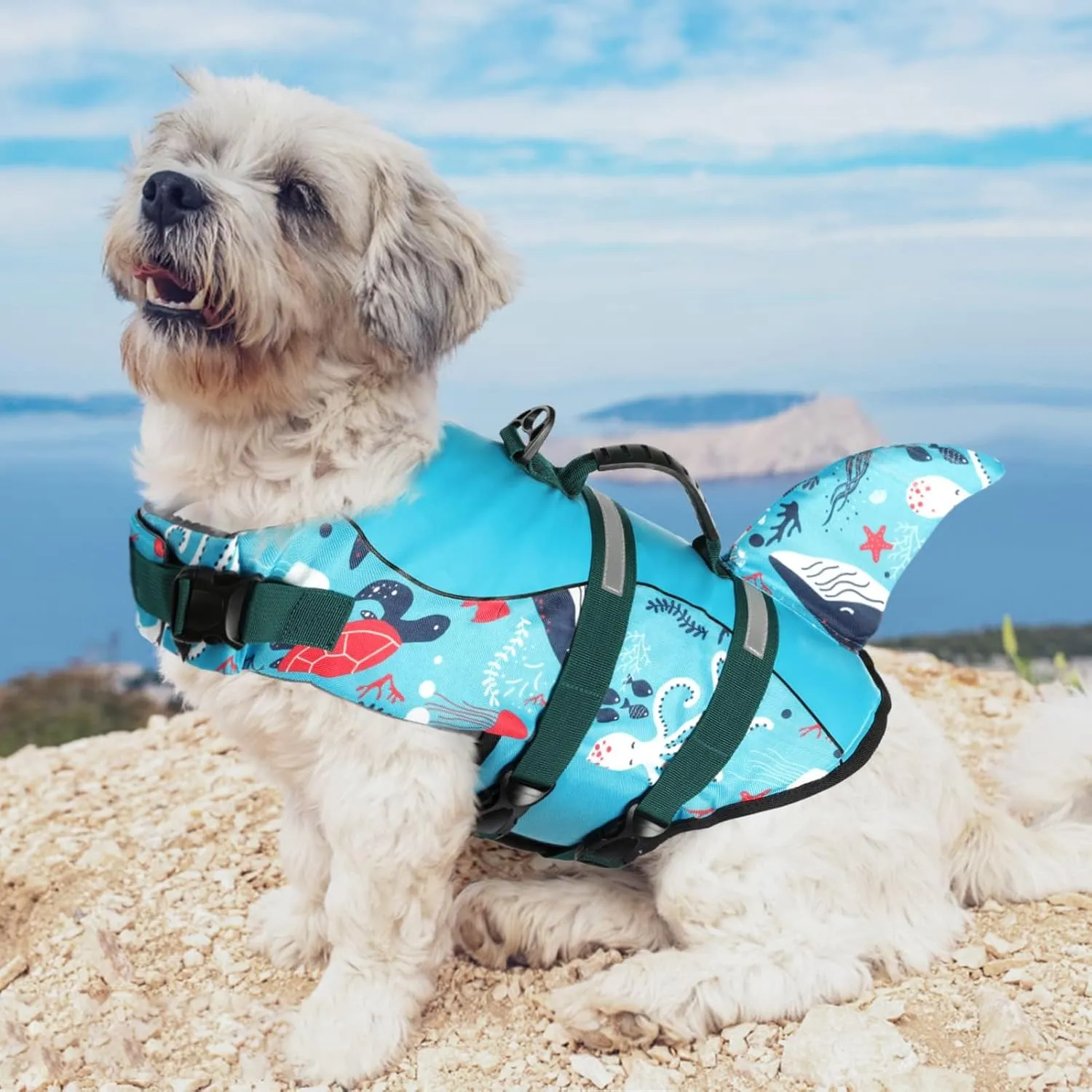 ASENKU Dog Life Jacket - Pet Safety Vest for Swimming & Boating, Shark Life Jacket with Floatation, Dog Lifesavers Swimsuits for Small Medium Large Dogs (Ocean, S)