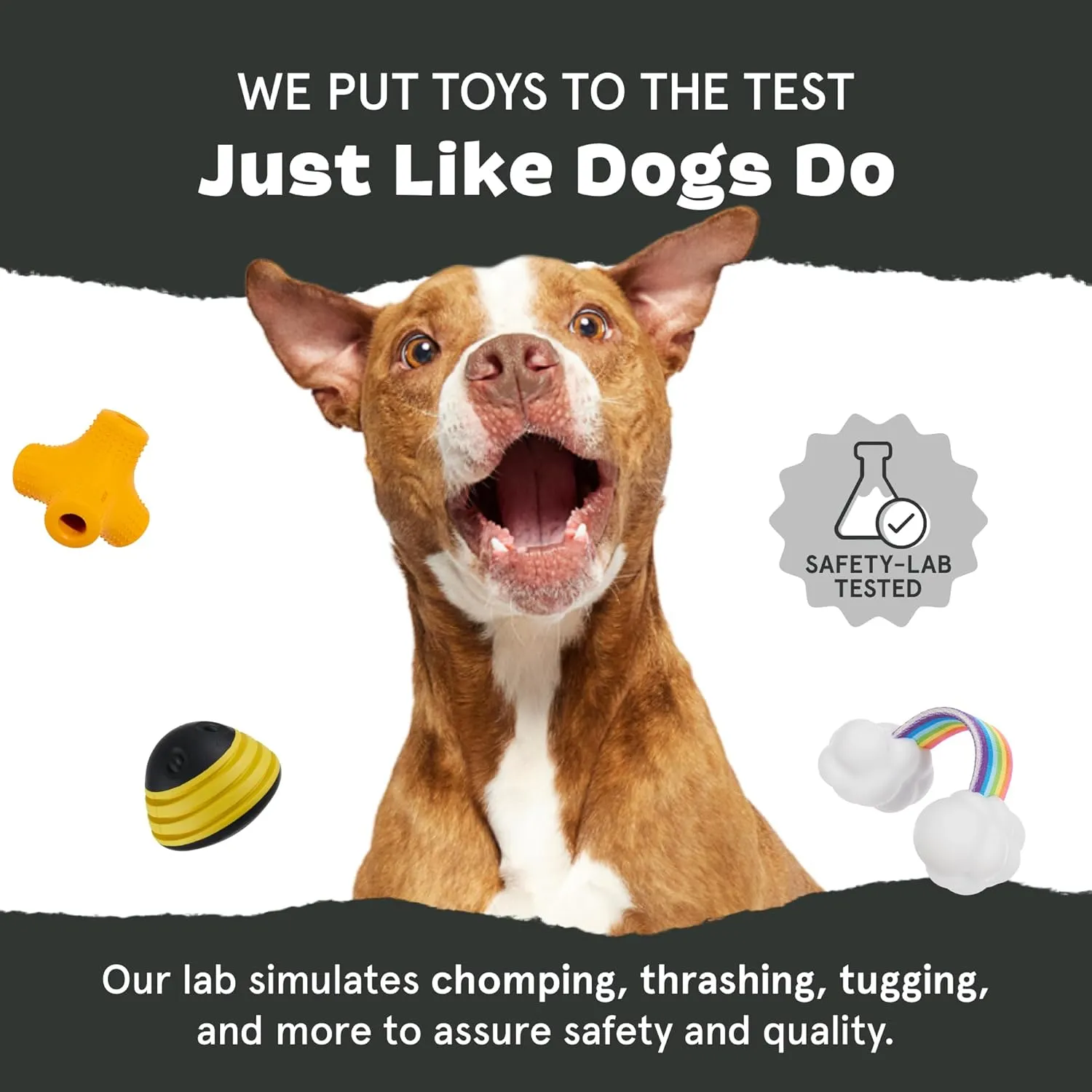 Barkbox Dogness Monster Super Chewer Dog Chew Toy - Tough Dental Stimulating Toy for Aggressive Chewers | Large