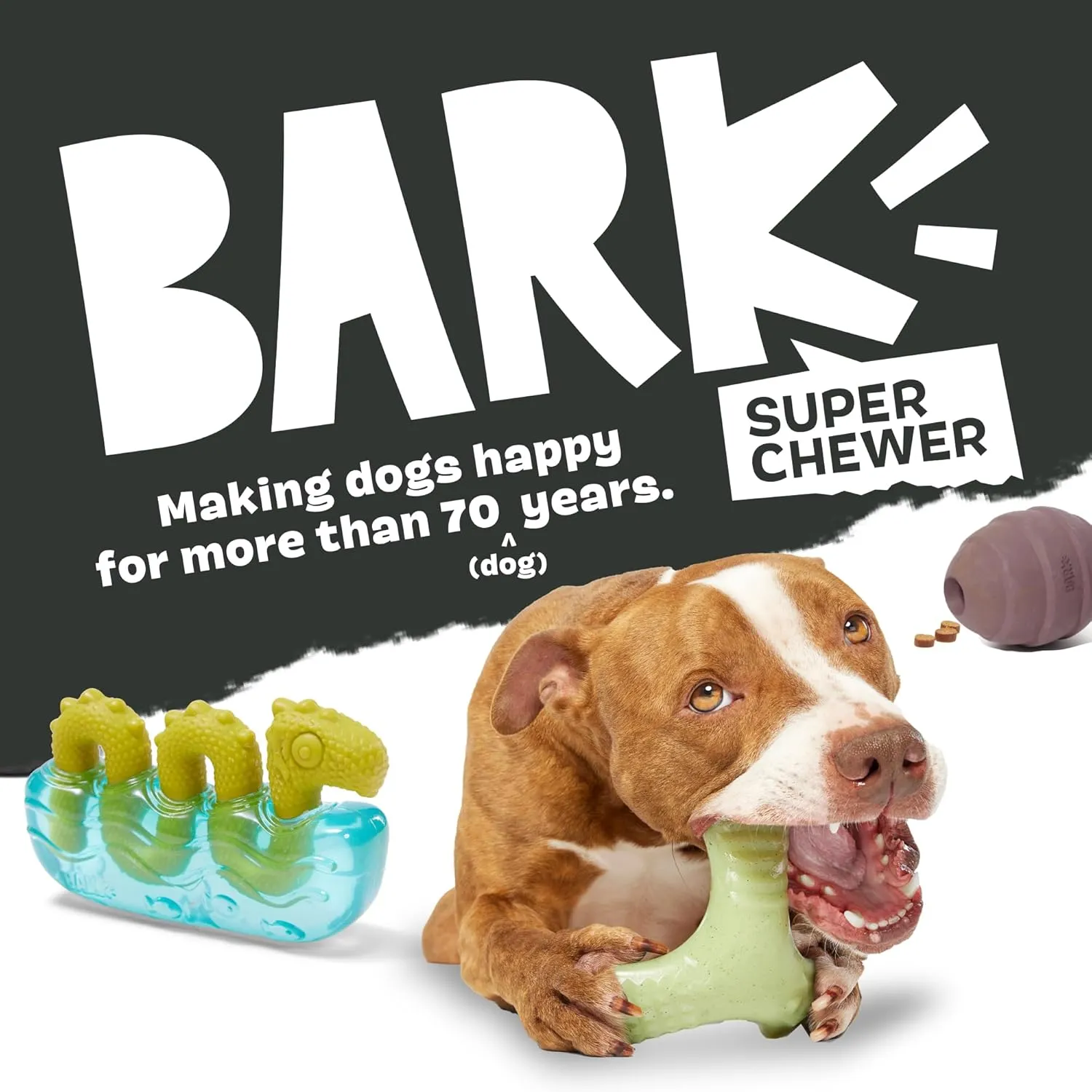 Barkbox Super Chewer Tough Dog Chew Toys for Aggressive Chewers, Dental Stimulating (Turkey - Large)