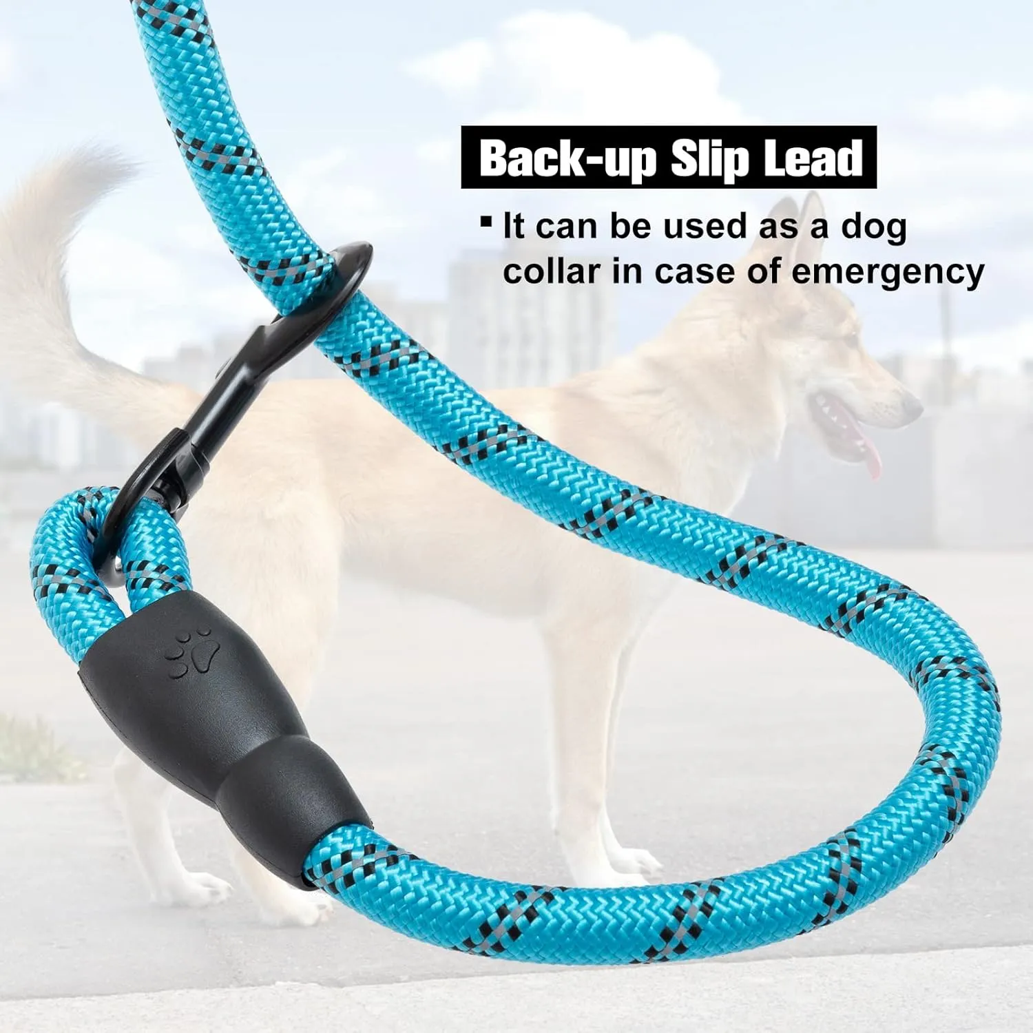 BEAUTYZOO Heavy Duty Rope Dog Leash 6 Pack, 6FT Nylon Pet Leash with Reflective Thread, Soft Padded Handle Thick Lead Leash for Large Medium Dogs Small Puppy,3/8inch X 5 FT (18~120 lbs)