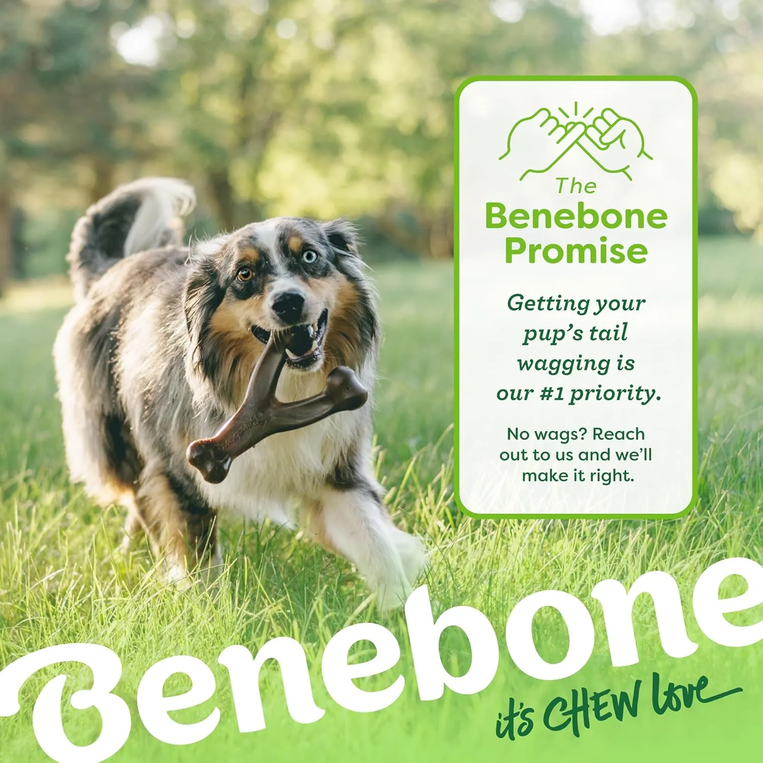 Benebone Wishbone Durable Dog Chew Toy for Aggressive Chewers, Made in USA, Large, Real Bacon Flavor