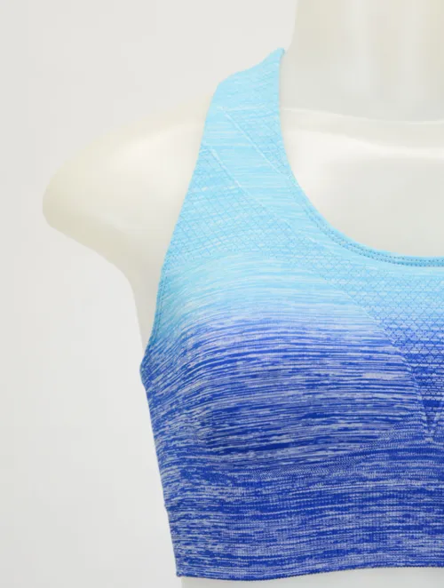 Blue Ombre Sports / Yoga Bra