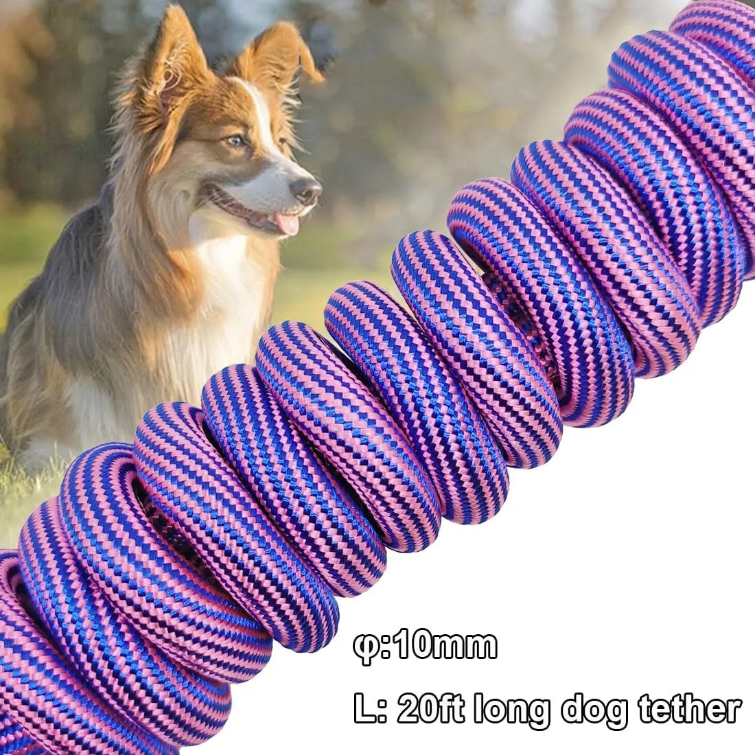 BTINESFUL 8ft/12ft/20ft/30ft/50ft/75ft Dog Tie-Out Long Tether Rope Leash, Outdoor Dog Yard Leash- Large Medium Small Dogs Training, Playing, Camping,Backyard