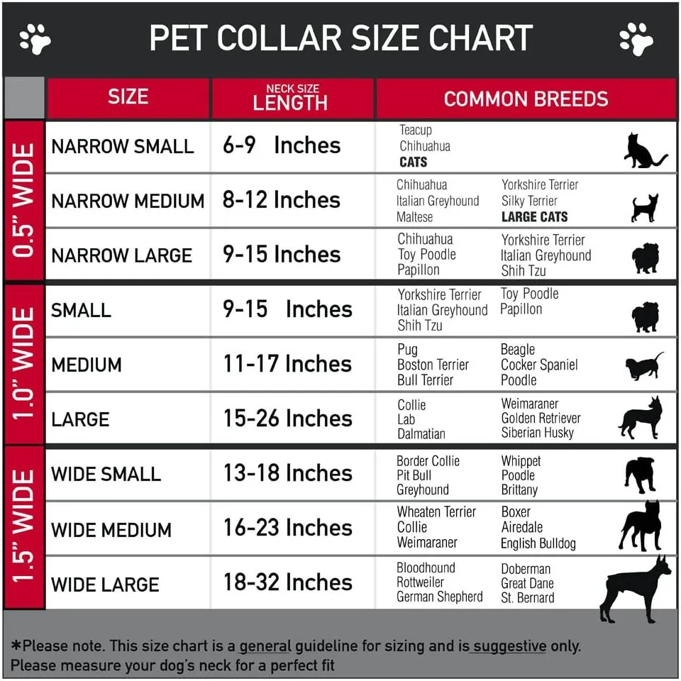 Buckle-Down Martingale Dog Collar - Dug 3-Poses/SQUIRREL! Brown/Yellow/White - 1" Wide - Fits 11-17" Neck Size - Medium