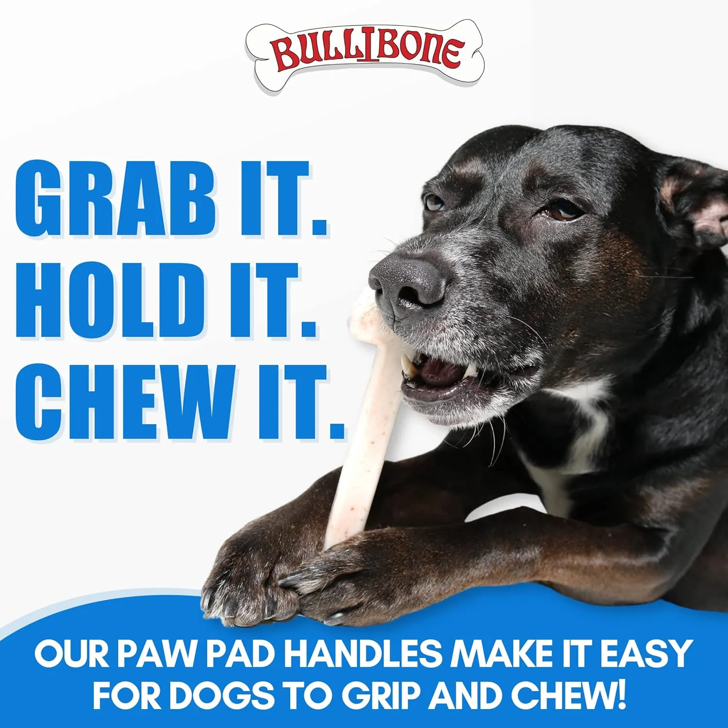 Bullibone Nylon Dog Chew Toy Nylon Bone - Improves Dental Hygiene, Easy to Grip Bottom, and Permeated with Flavor (Peanut Butter, XL - 3 Pack)