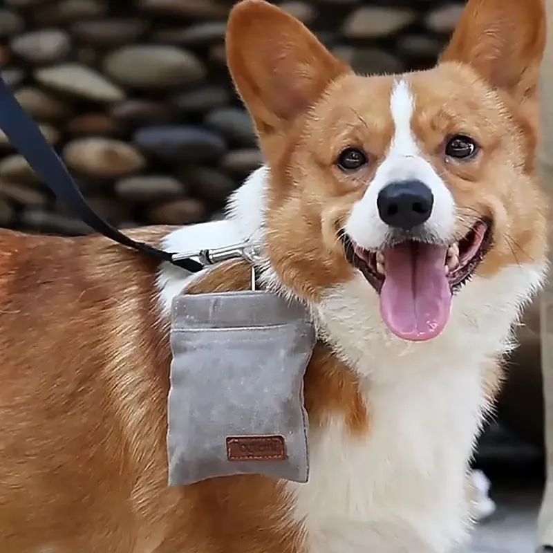 Canvas Dog Treat Bag