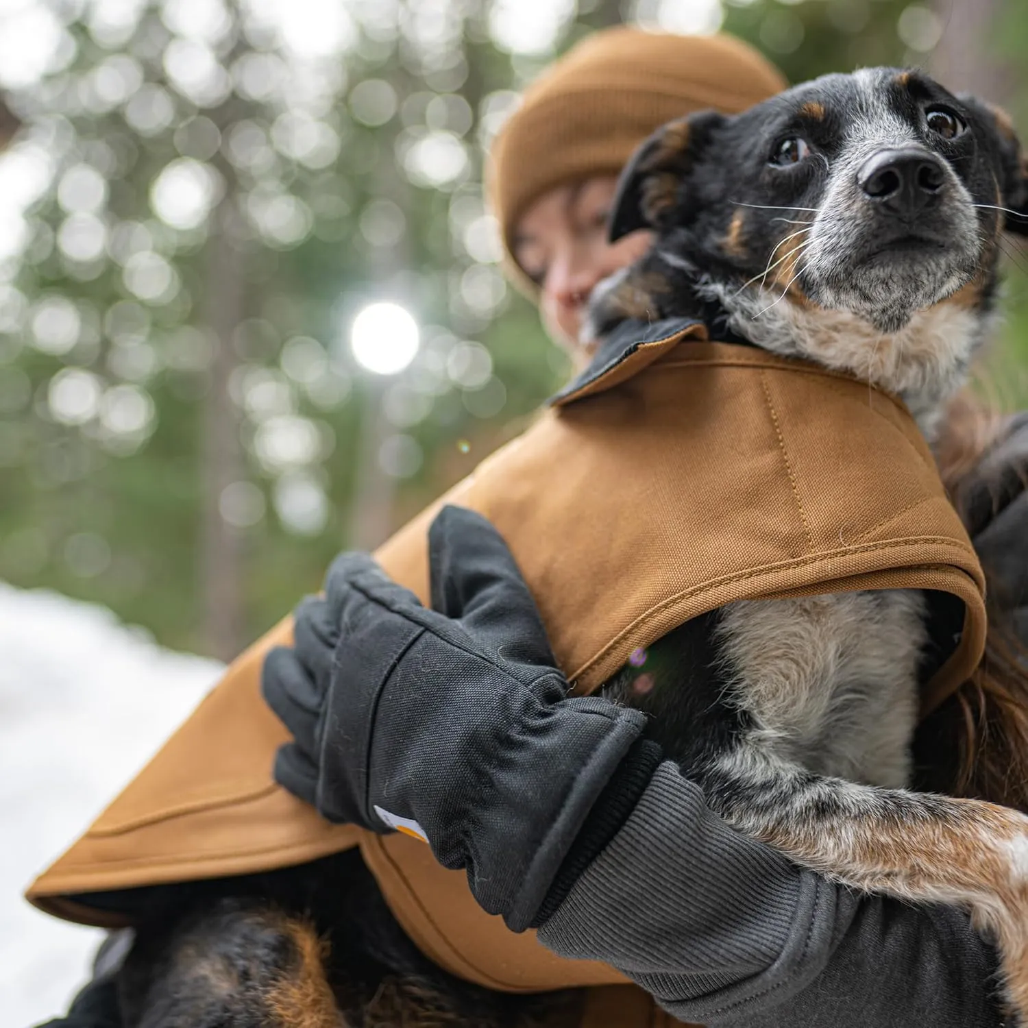 Carhartt Firm Duck Insulated Dog Chore Coat, Durable Weather Resistant Jacket for Cold and Windy Conditions, PFAS Free (Carhartt Brown), Large