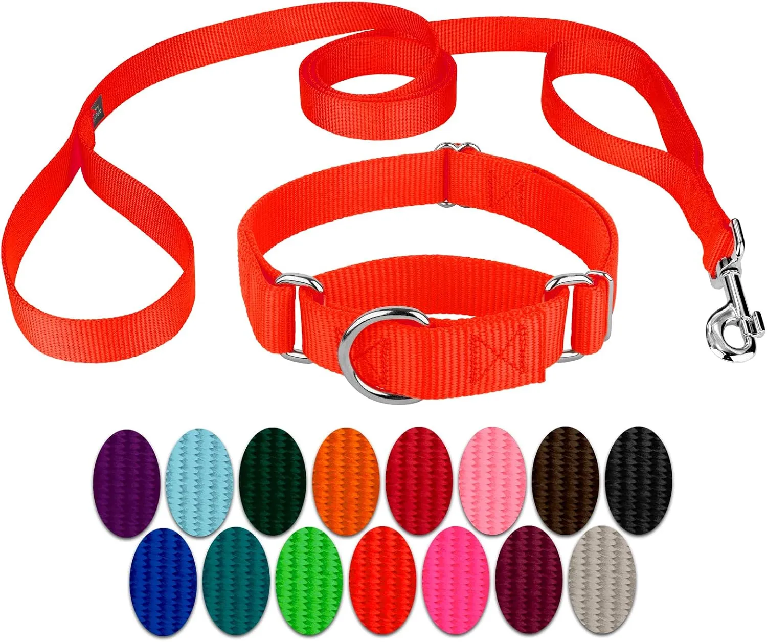 Country Brook Petz - Hot Orange Martingale Heavyduty Nylon Dog Collar and Double Handle Leash (1 Inch, Large)