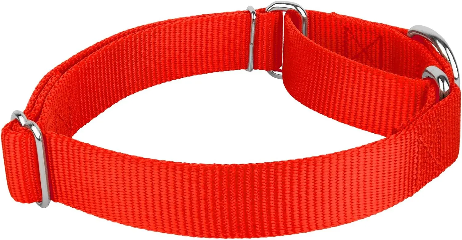 Country Brook Petz - Hot Orange Martingale Heavyduty Nylon Dog Collar and Double Handle Leash (1 Inch, Large)