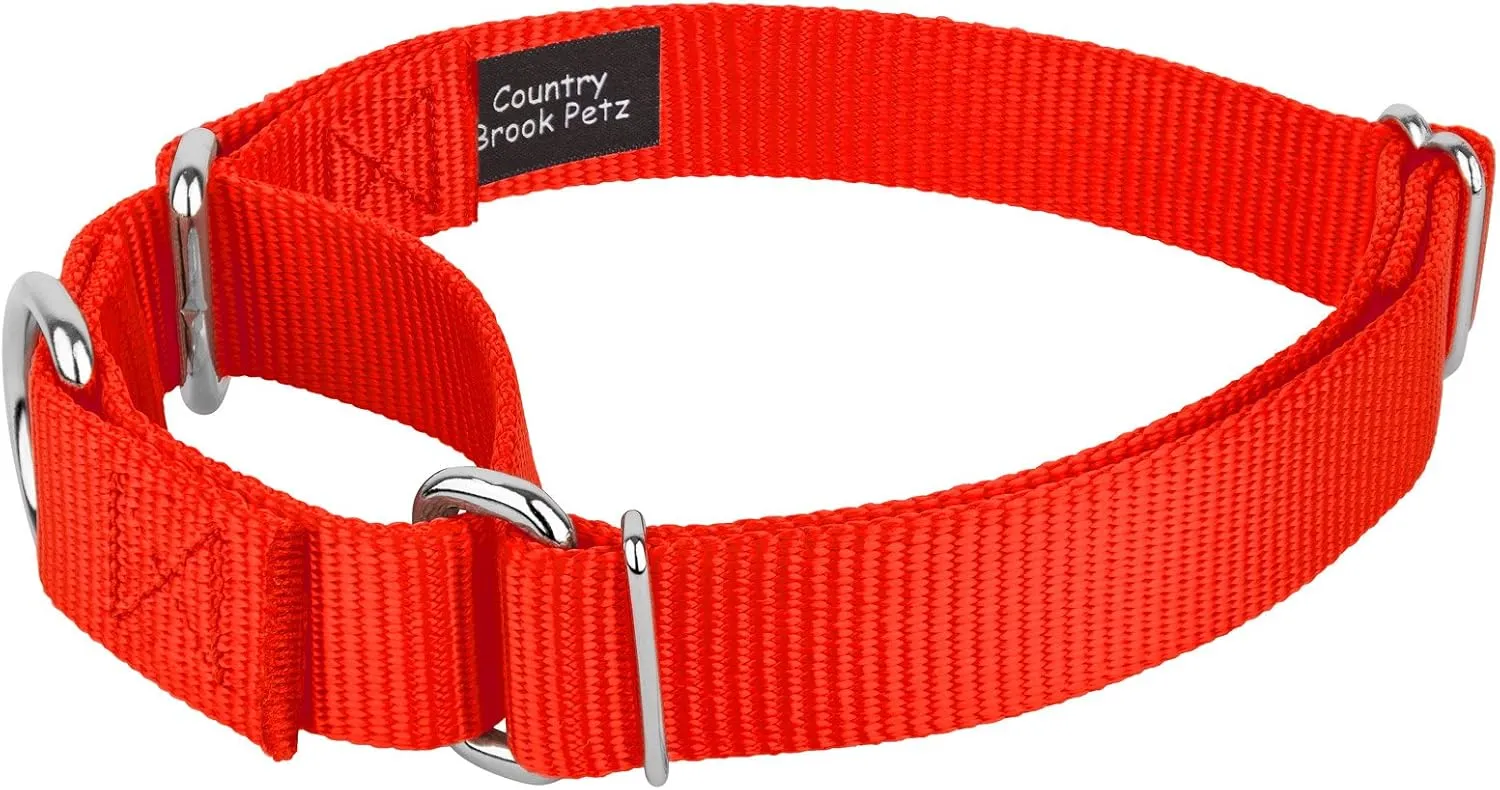 Country Brook Petz - Hot Orange Martingale Heavyduty Nylon Dog Collar and Double Handle Leash (1 Inch, Large)