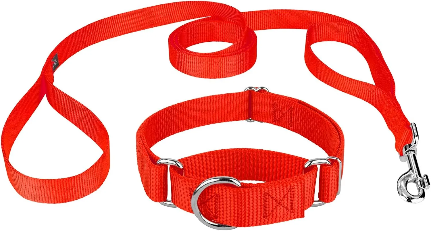 Country Brook Petz - Hot Orange Martingale Heavyduty Nylon Dog Collar and Double Handle Leash (1 Inch, Large)