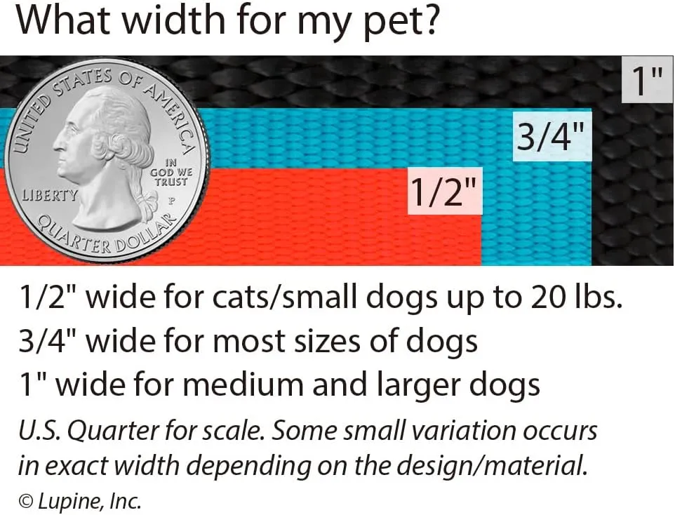 Dog Leash by Lupine in 1" Wide Red 6-Foot Long with Padded Handle