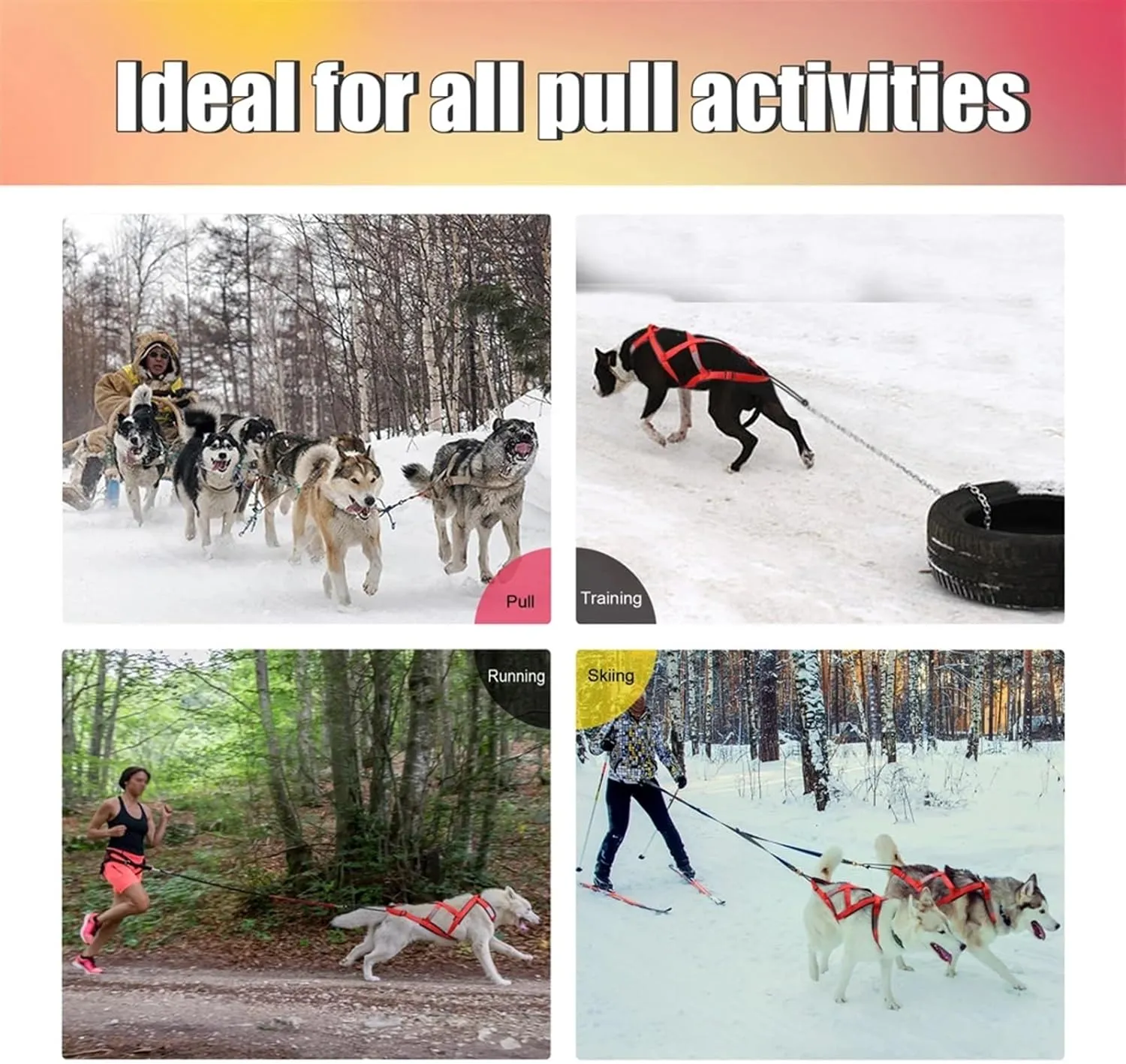 Dog Sledding Harness,Dog Sled Harness Pet Weight Pulling Sledding Harness Mushing X Back Harness for Large Dogs Husky Canicross Skijoring Scootering(Red,M)