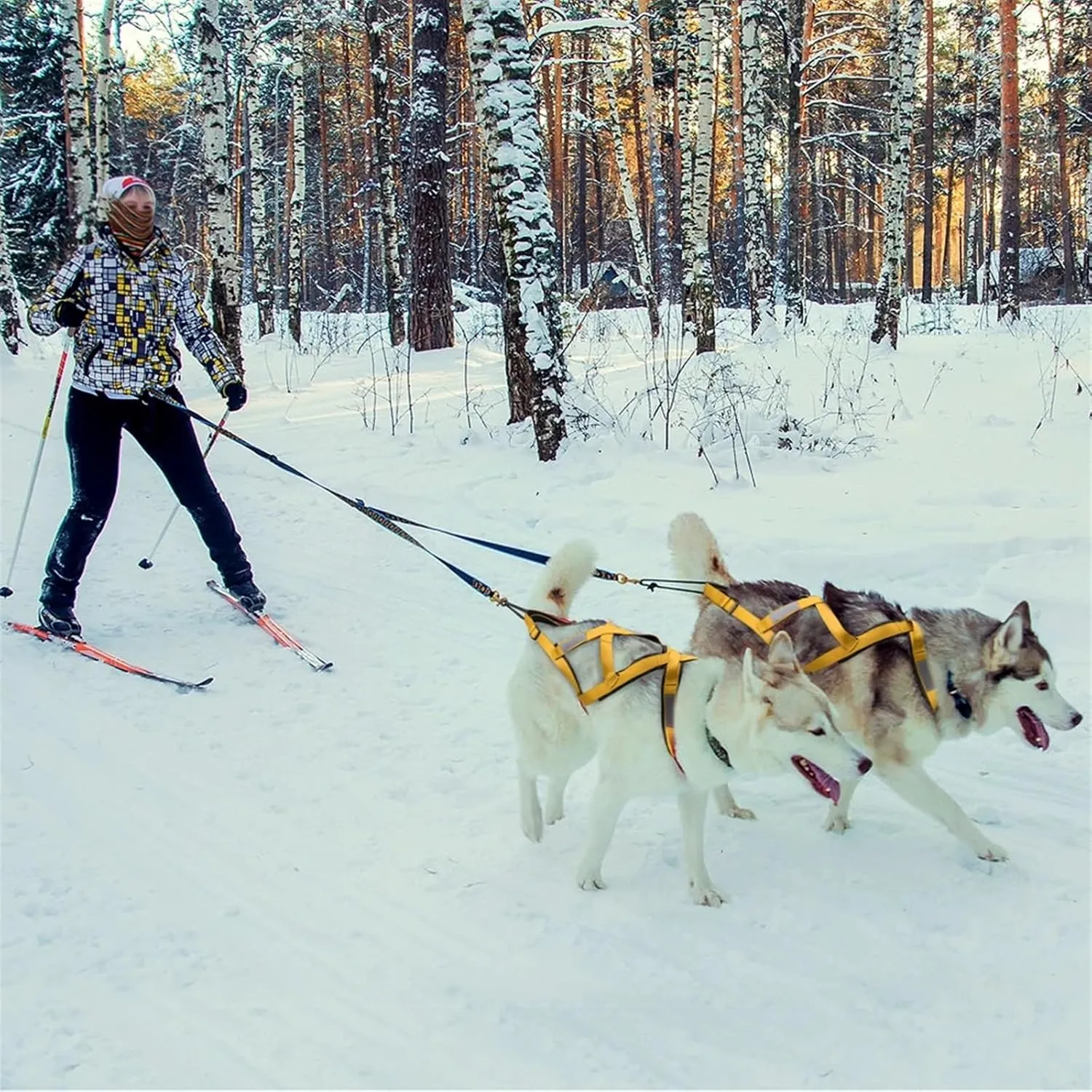 Dog Sledding Harness,Dog Sled Harness Pet Weight Pulling Sledding Harness Mushing X Back Harness for Large Dogs Husky Canicross Skijoring Scootering(Red,M)