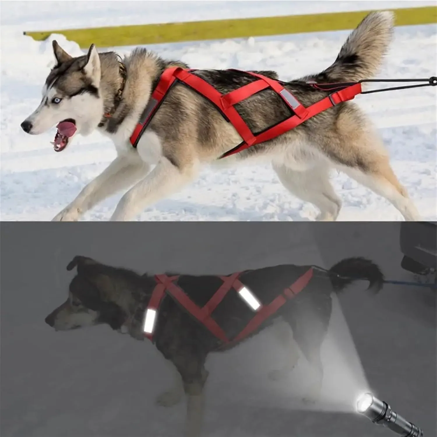 Dog Sledding Harness,Waterproof Reflective Pet Sledding Skijoring Harness Big Large Dogs Weight Pulling Vest for Pet Training(Red,XXL)