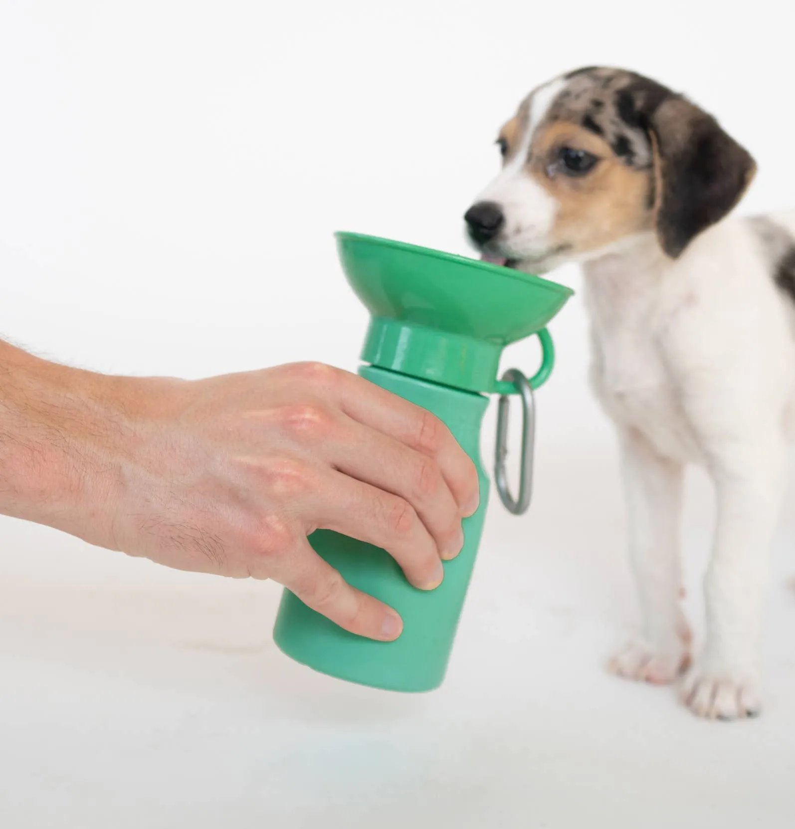 Dog Travel Water Bottle, 15oz, Mini