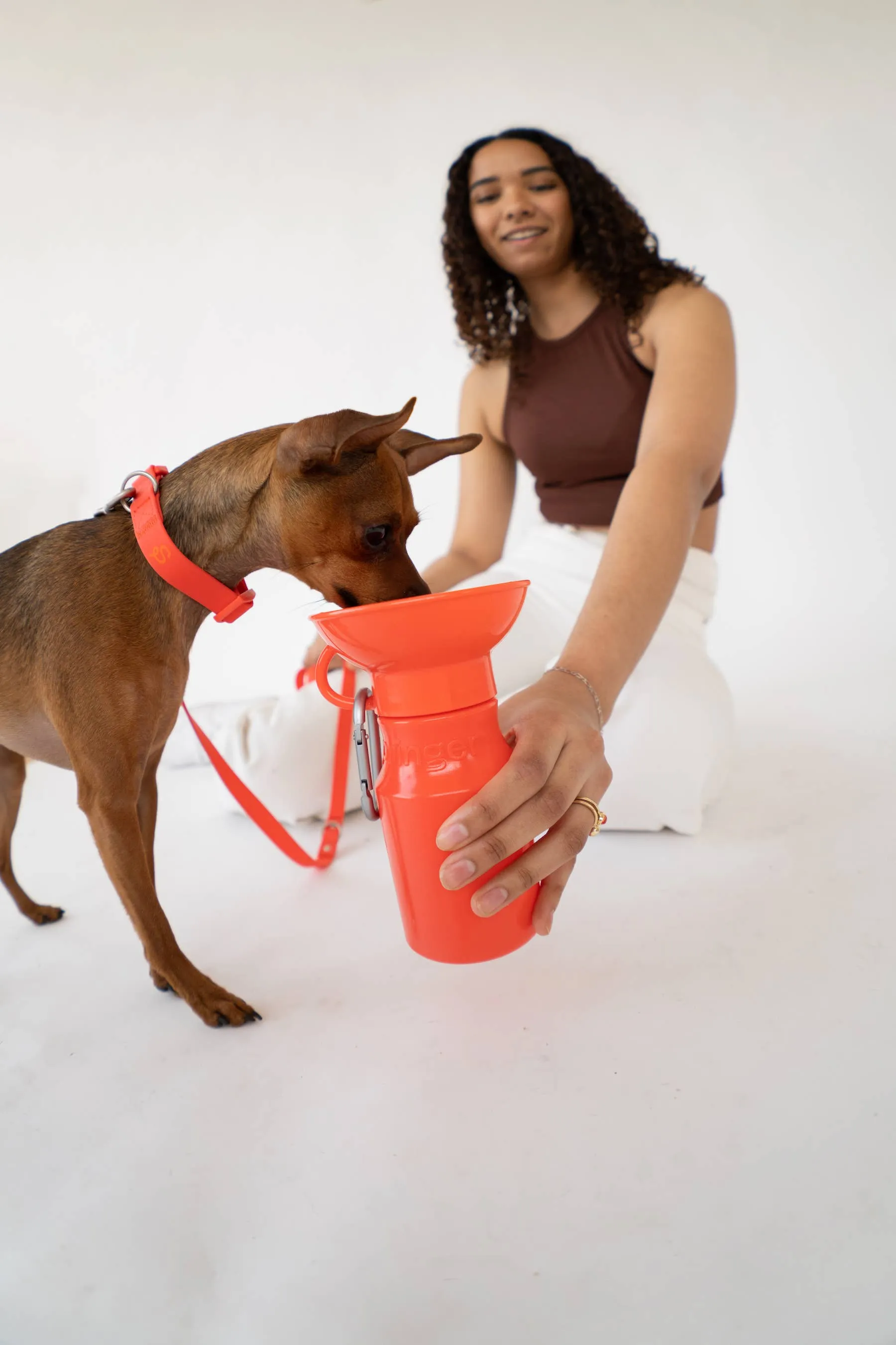 Dog Travel Water Bottle, 15oz, Mini