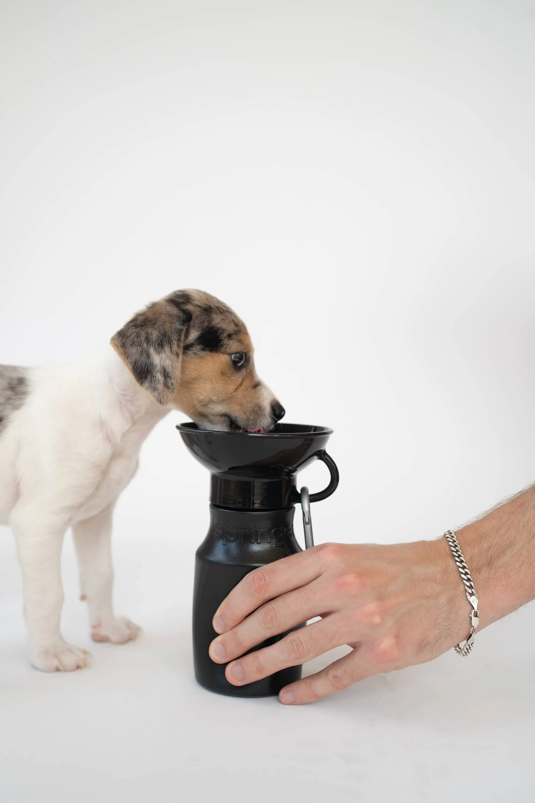 Dog Travel Water Bottle, 15oz, Mini