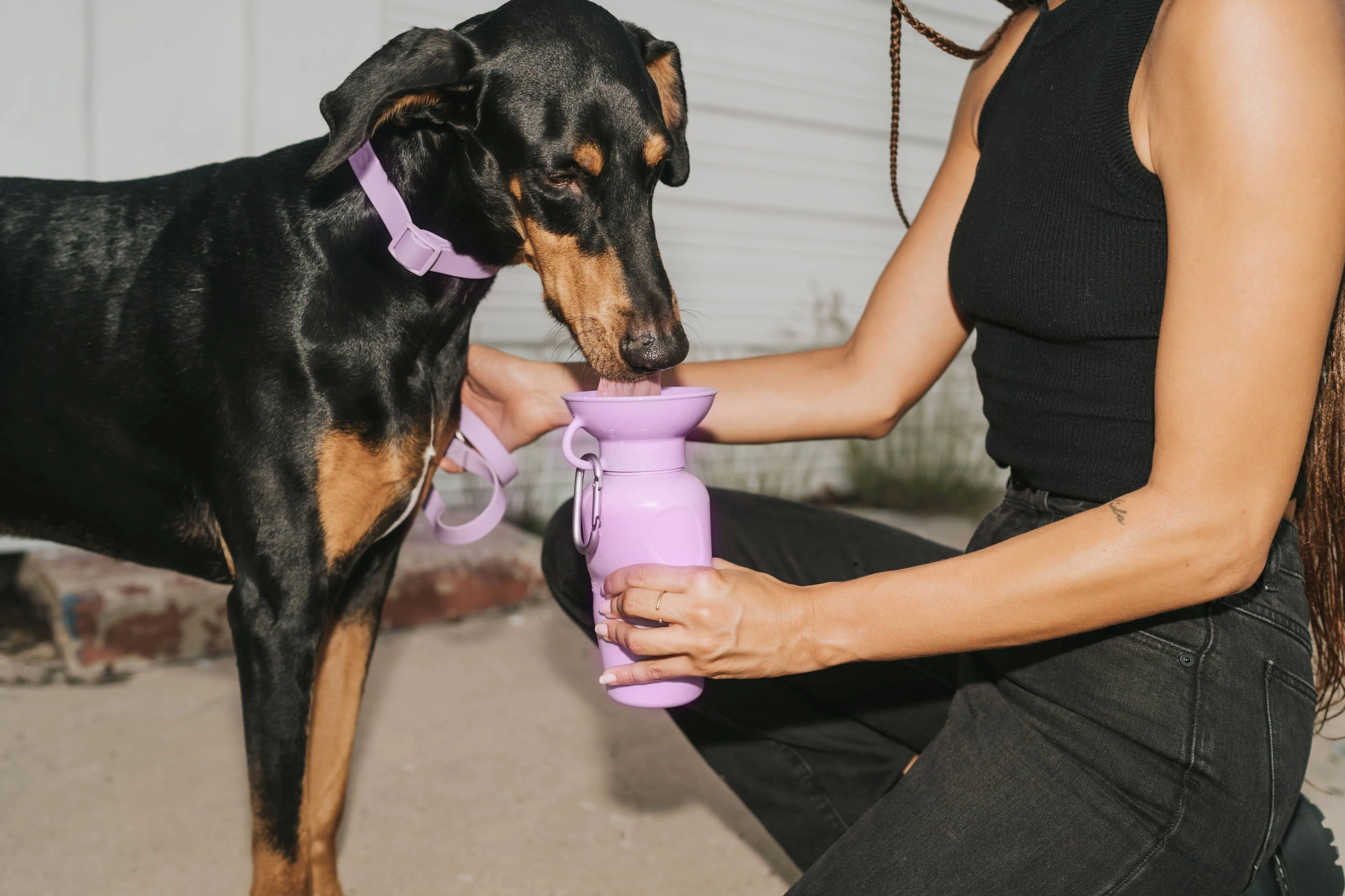 Dog Travel Water Bottle, 22oz, Classic