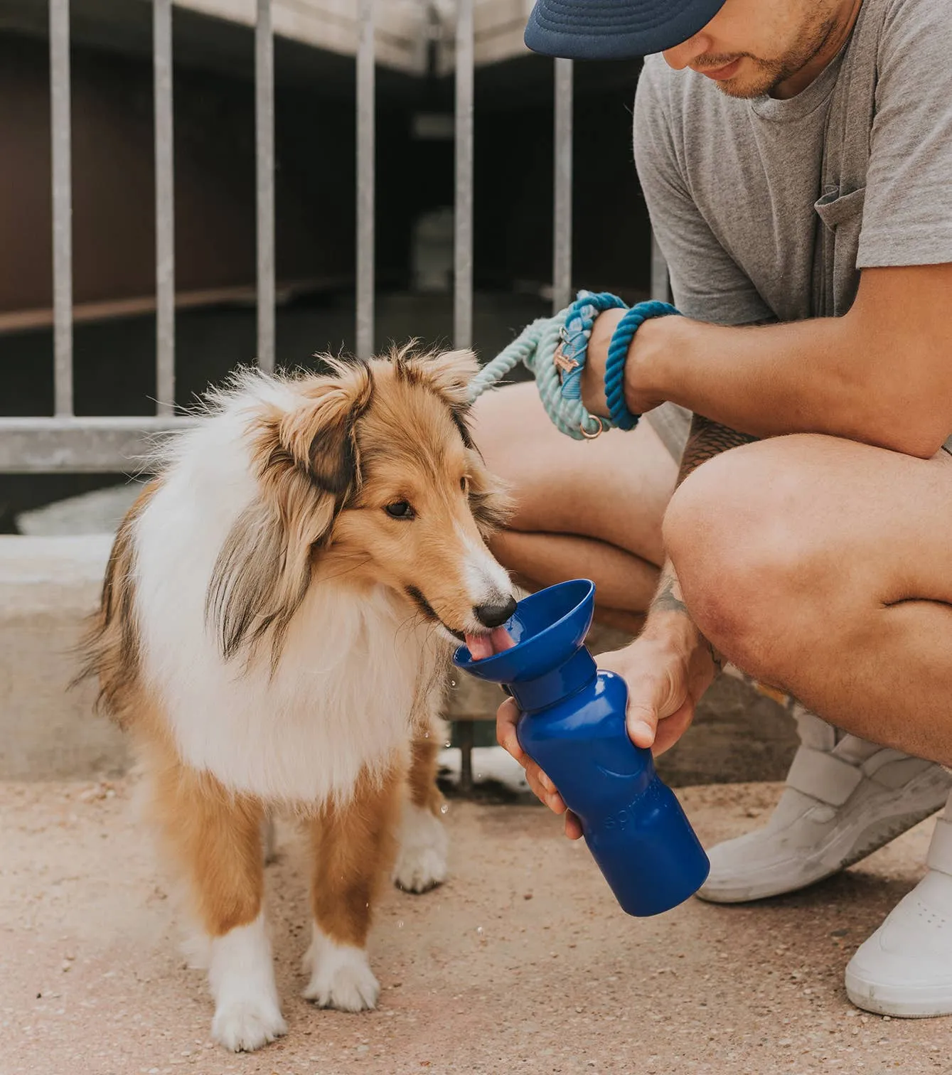Dog Travel Water Bottle, 22oz, Classic