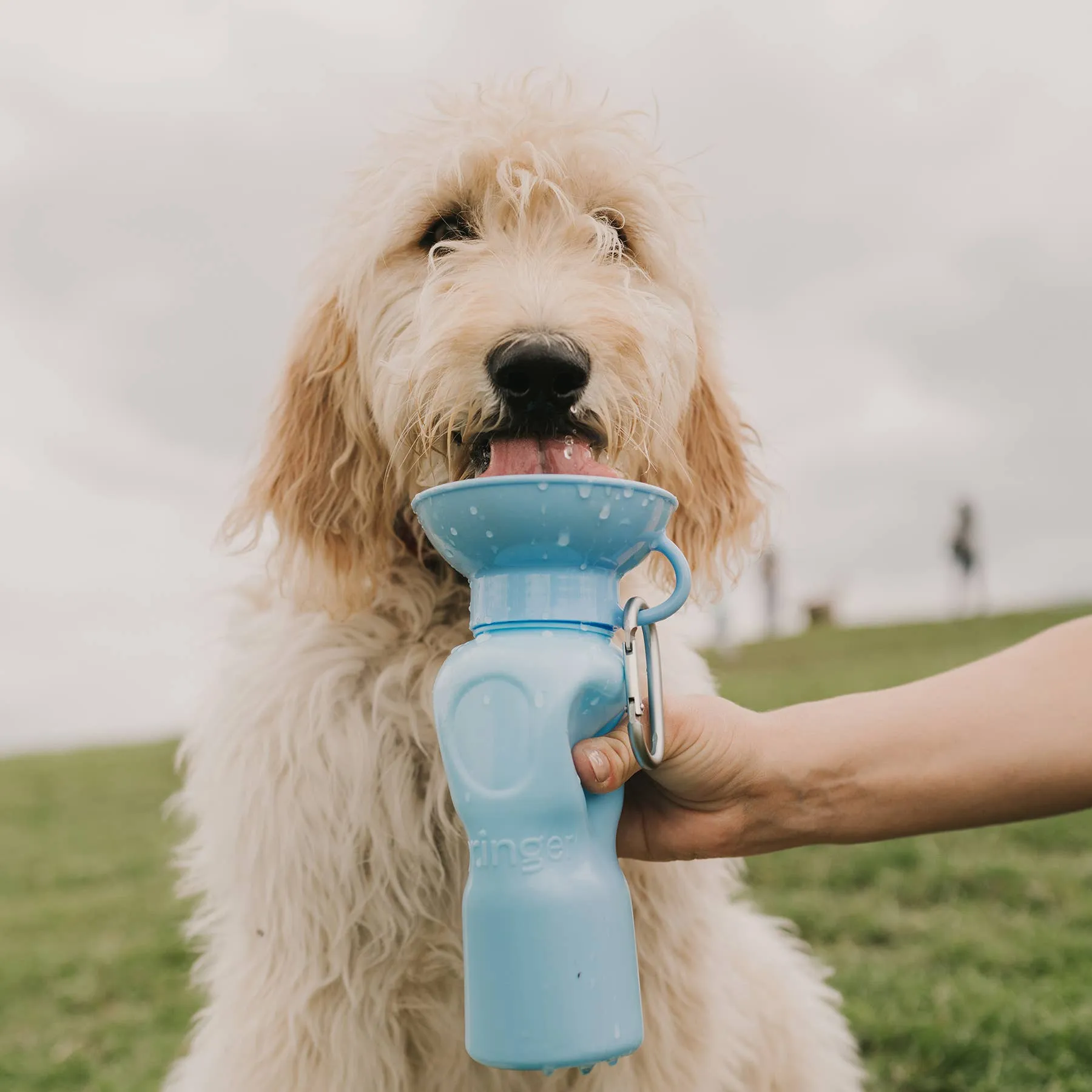 Dog Travel Water Bottle, 22oz, Classic