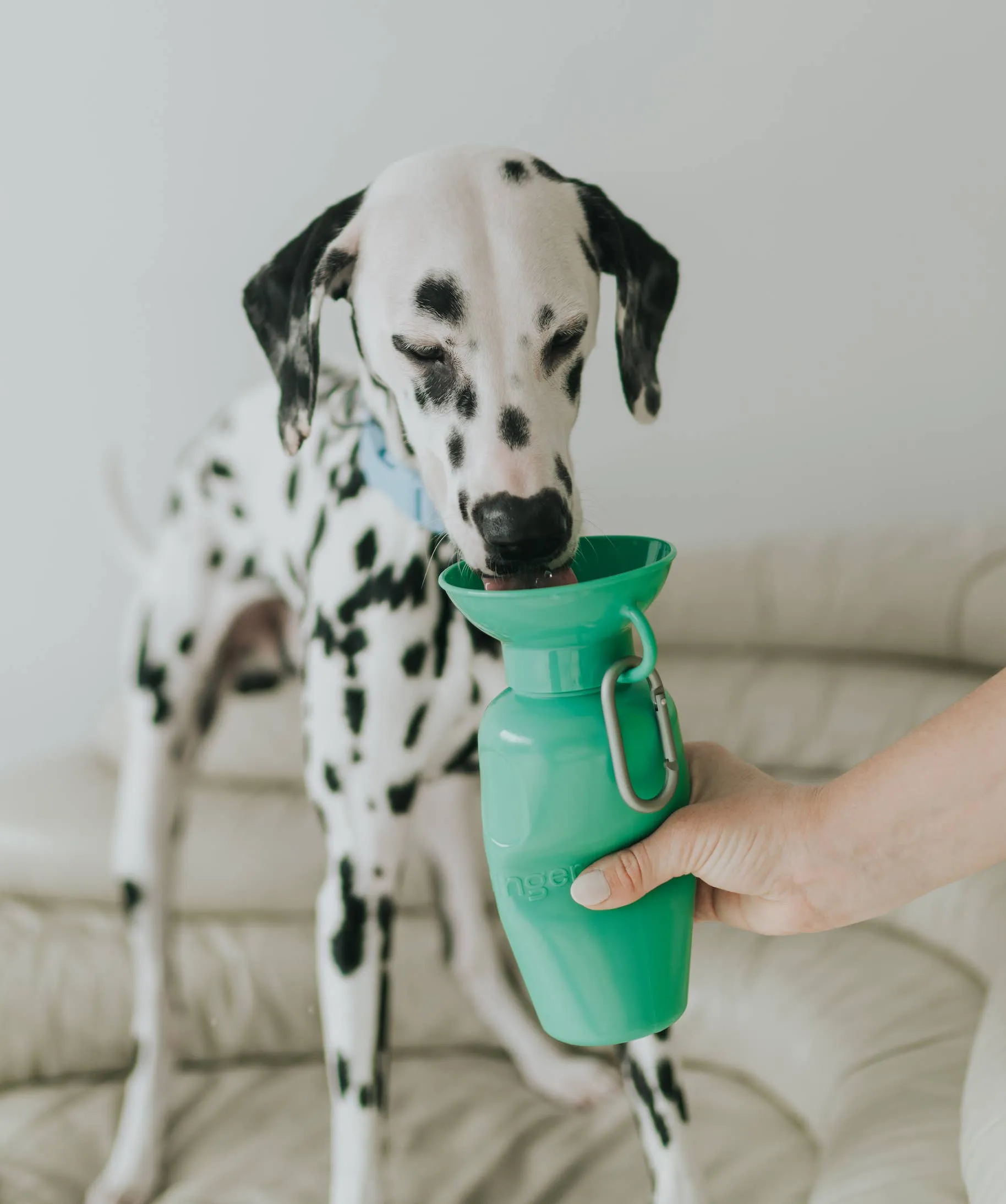 Dog Travel Water Bottle, 22oz, Classic