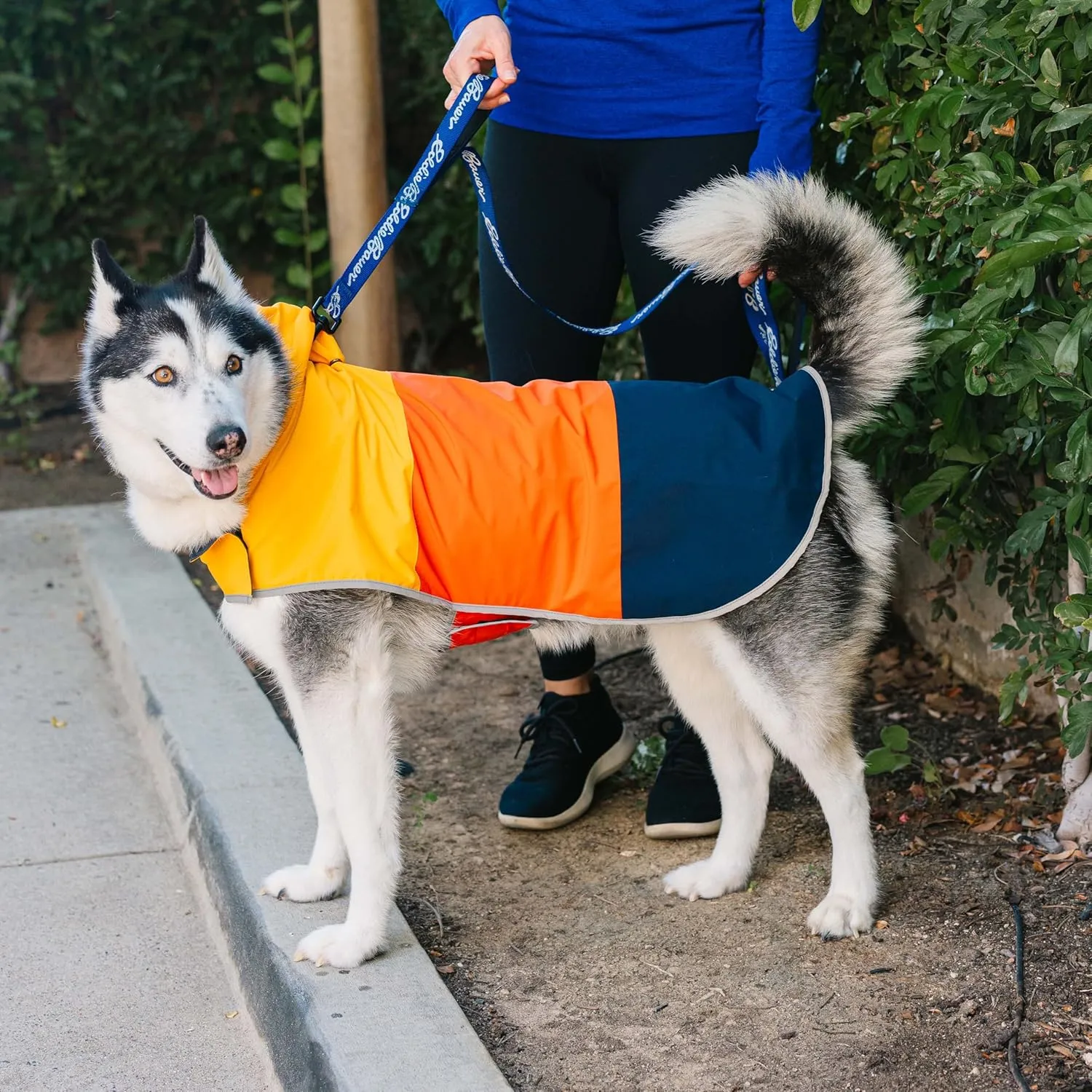 Eddie Bauer E23210S Ravenna Colorblocked Dog Windbreaker Jacket in Small, Orange and Blue