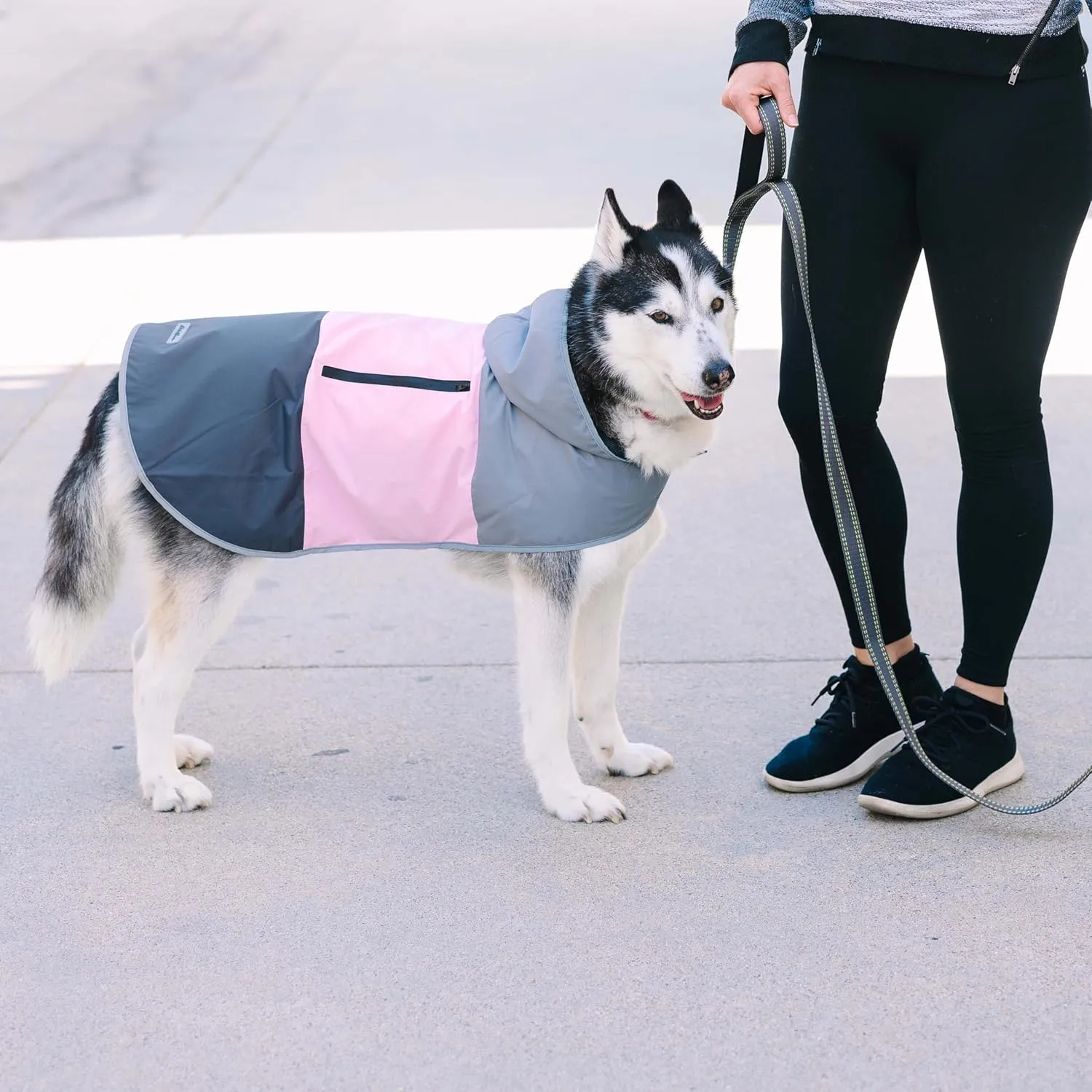 Eddie Bauer E24232S Ravenna Colorblocked Dog Windbreaker Jacket in Small, Grey and Pink