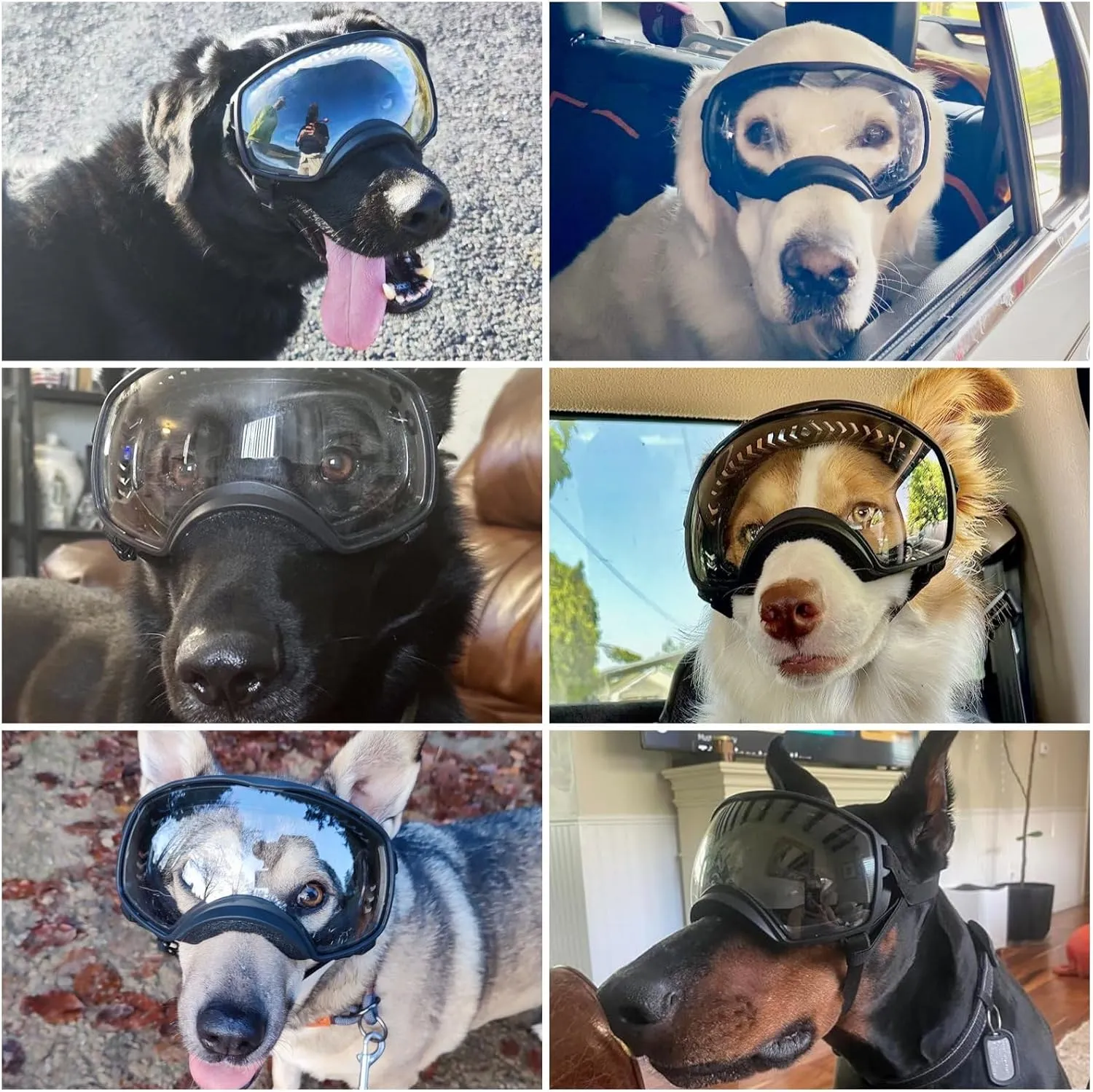 Enjoying Clear Dog Goggles for Large Dogs, Dog Sunglasses Medium Large Breed, Summer UV Pet Eye Protection, Winter Pet Snow Goggles, Transparent