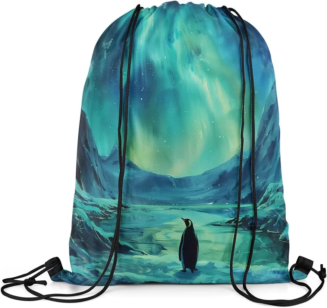Erosebridal Ombre Dreamy Aurora Drawstring Backpack,Penguin Natural Draw String Back Bag,Galaxy Stars Starry Sky Drawstring Bags,Wildlife Safari Polar Animal String Backpack,13x15.7
