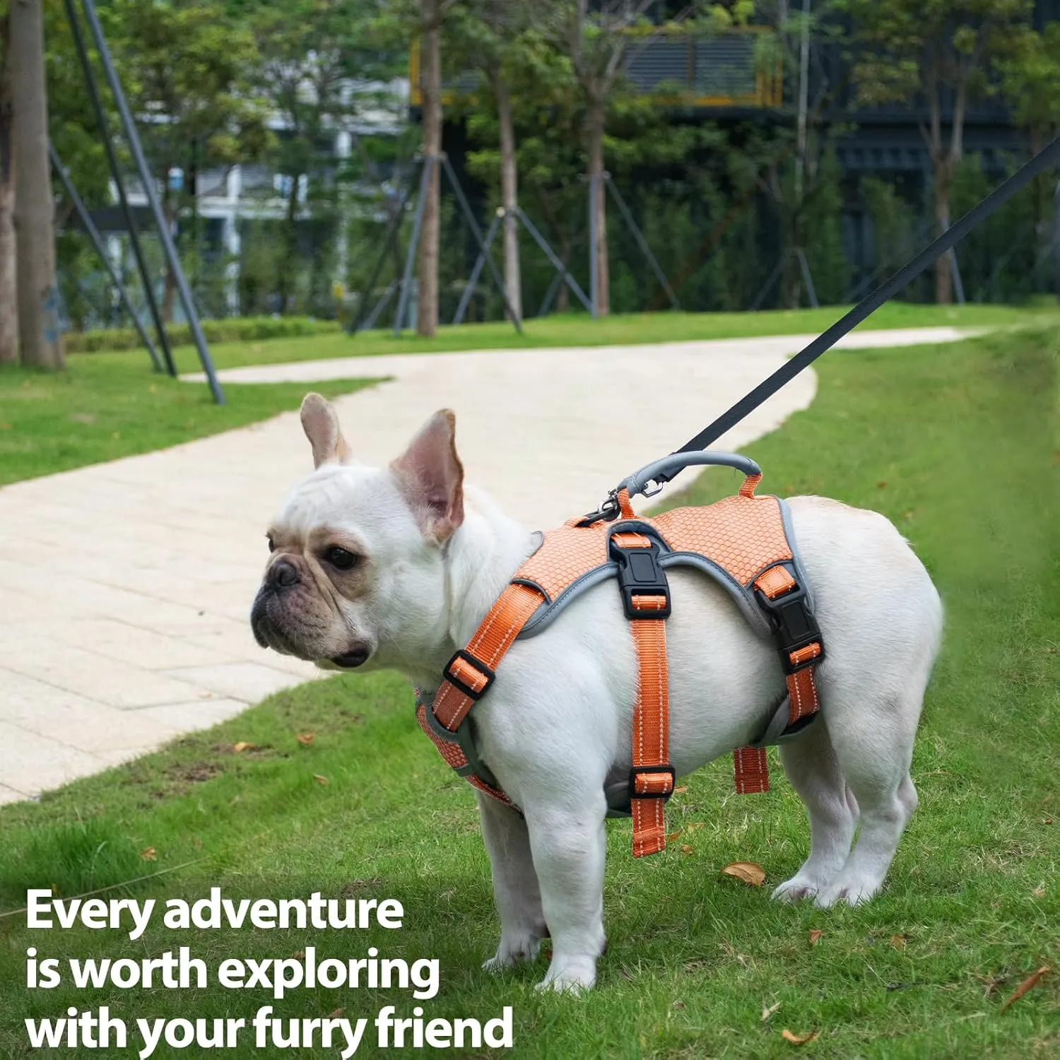 Escape Proof Dog Harness, Escape Artist Harness, Reflective Dog Harness with Handle, Durable,Adjustable Vest for Small Medium Large Dogs Walking, Training, and Running Gear(Orange,L)