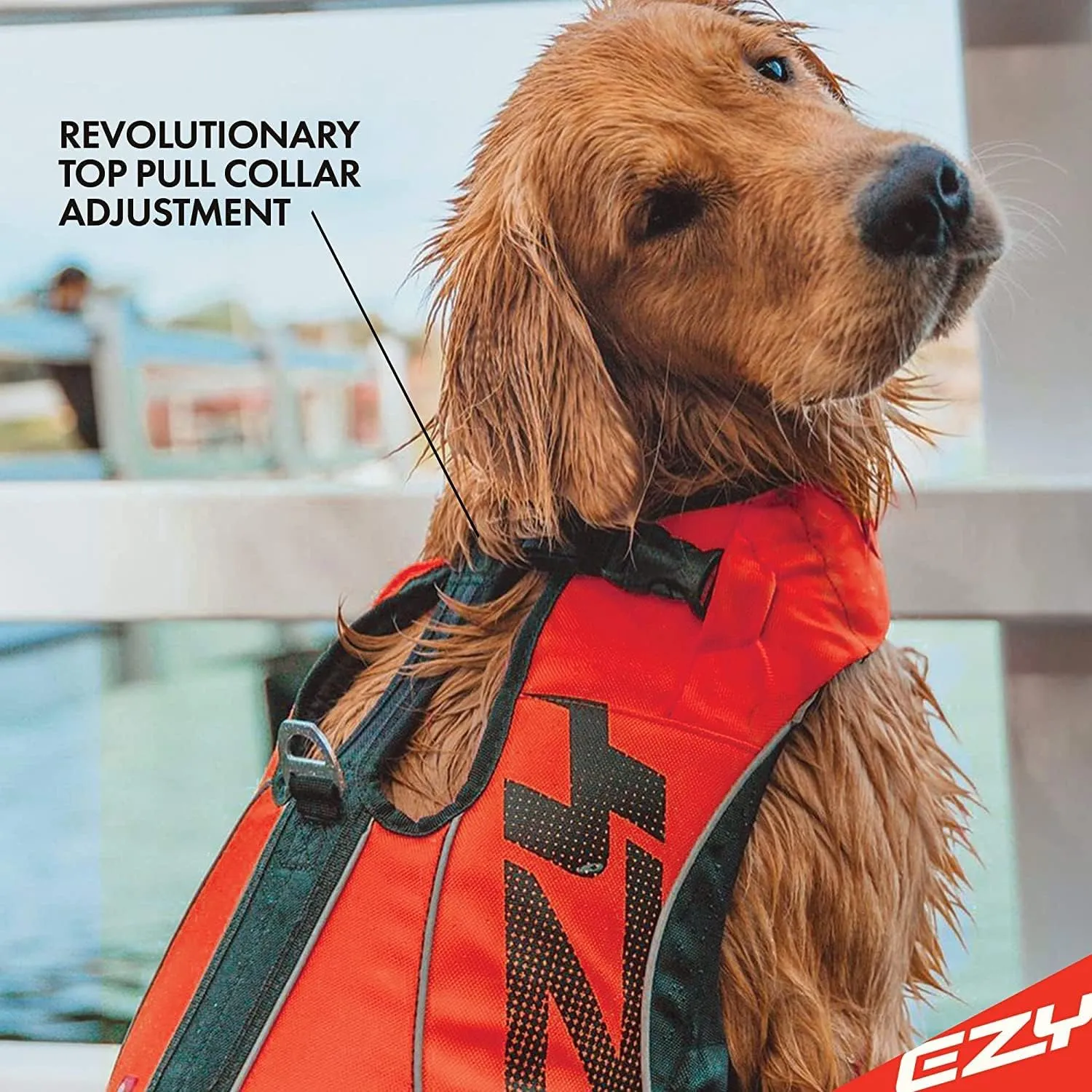 EzyDog DFD X2 Dog Life Jacket - Adjustable Swimming Safety Life Vest Preserver with Continuous Neck Flotation, Reflective Trim, & Grab Handle (Medium, Yellow)