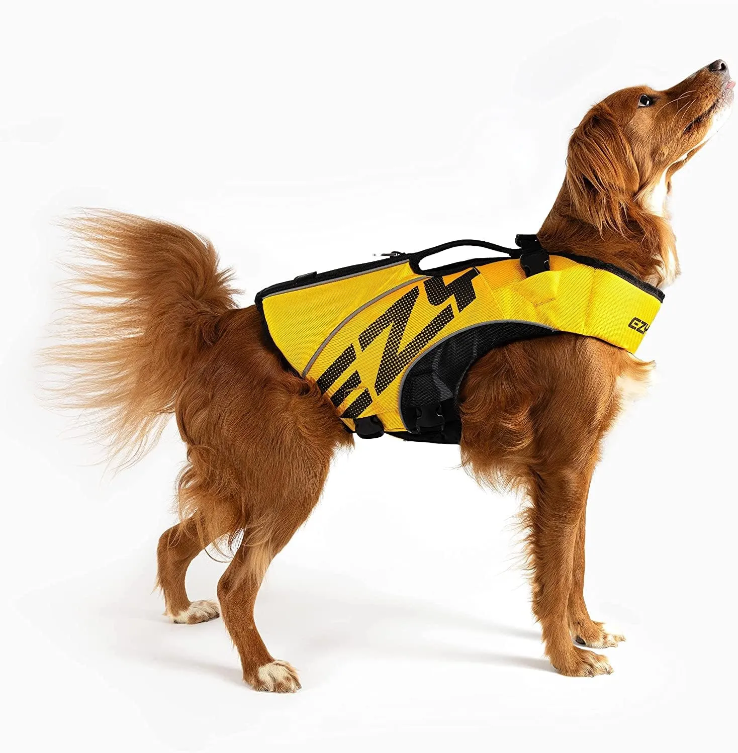 EzyDog DFD X2 Dog Life Jacket - Adjustable Swimming Safety Life Vest Preserver with Continuous Neck Flotation, Reflective Trim, & Grab Handle (Medium, Yellow)