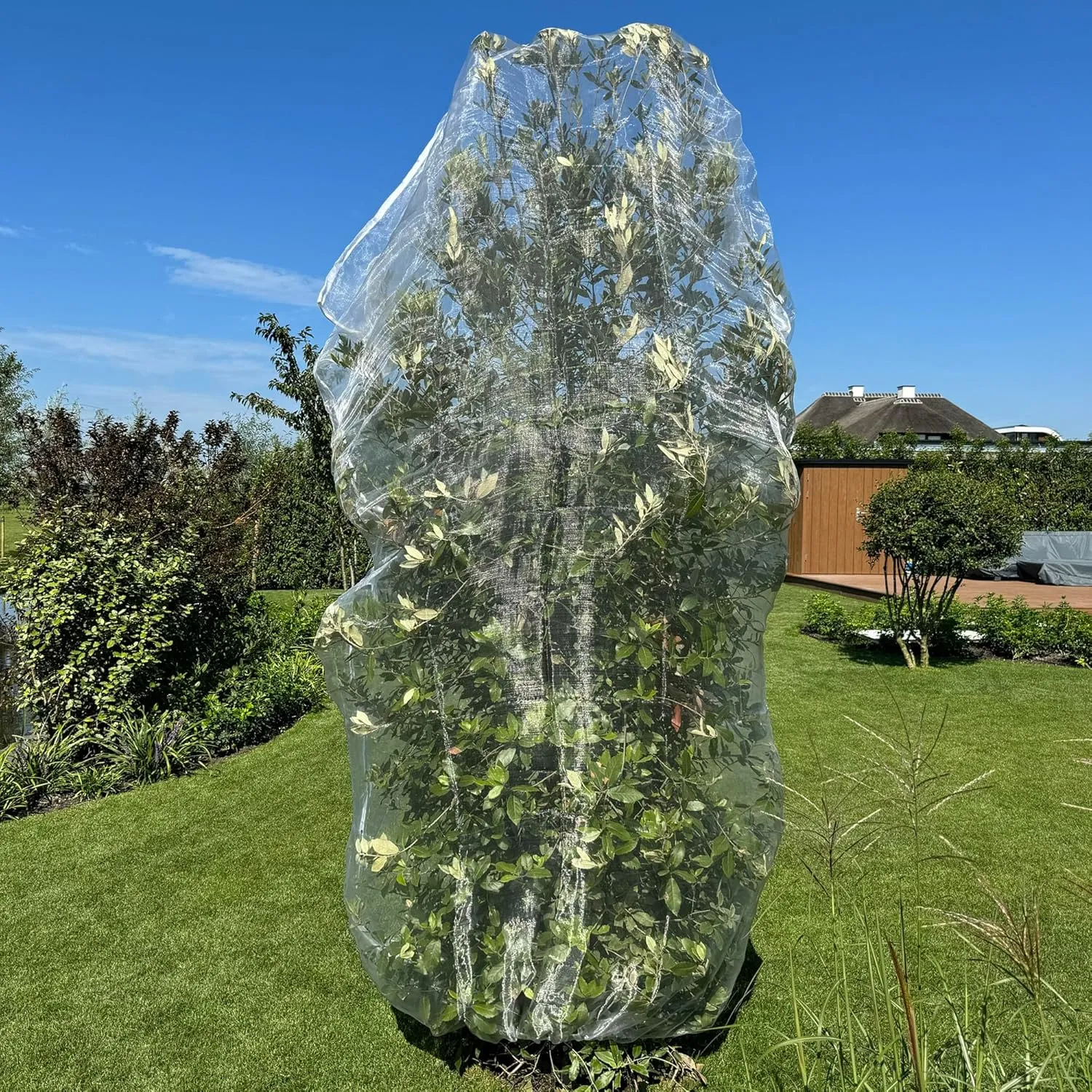Fruit Tree Protection Bags 6.5x8.5 FT | Multiple Size Garden Netting for Fruit & Vegetable Protection | White Plant Net Cover for Blueberry & Tomato | Bird & Insect Mesh Fabric Protector