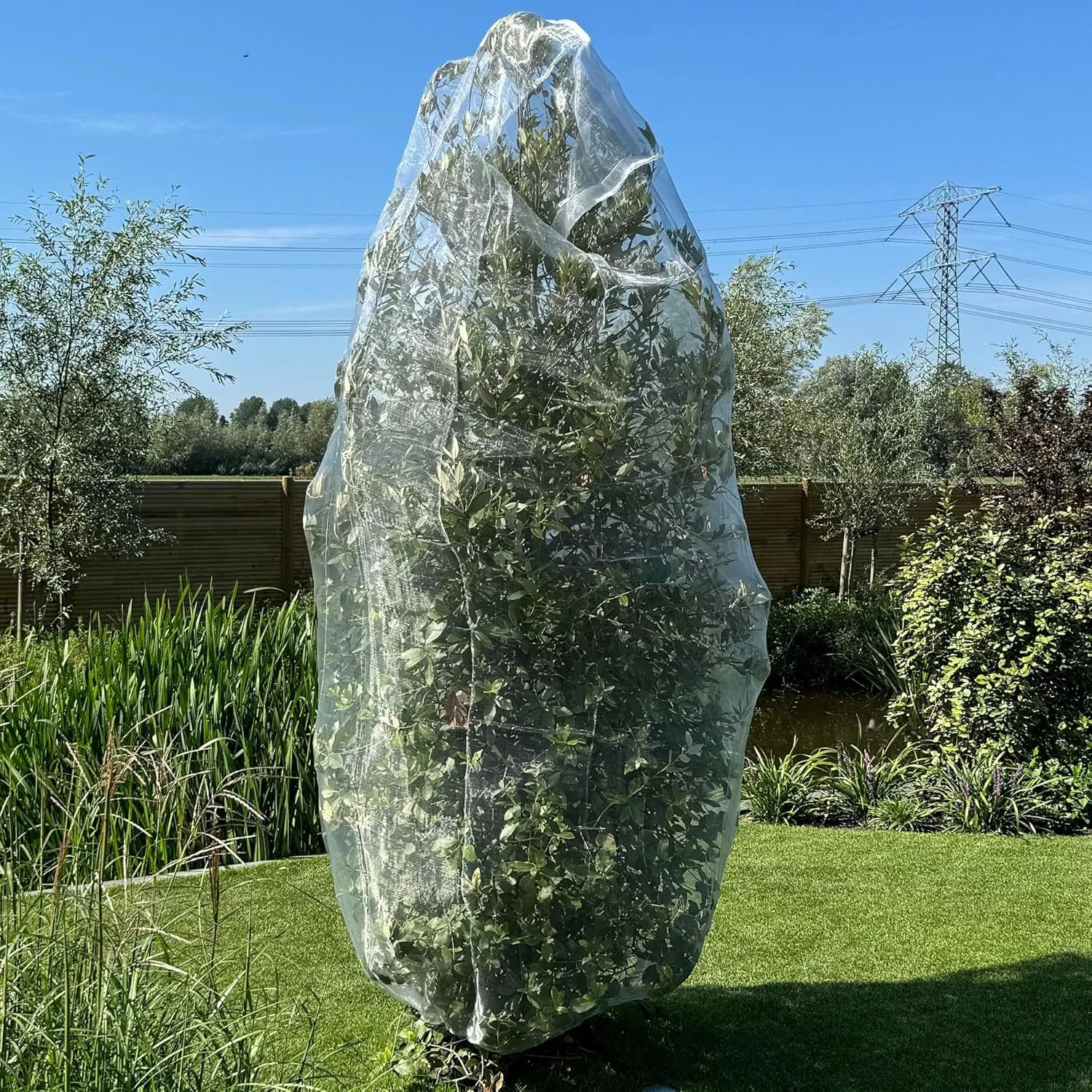 Fruit Tree Protection Bags 6.5x8.5 FT | Multiple Size Garden Netting for Fruit & Vegetable Protection | White Plant Net Cover for Blueberry & Tomato | Bird & Insect Mesh Fabric Protector