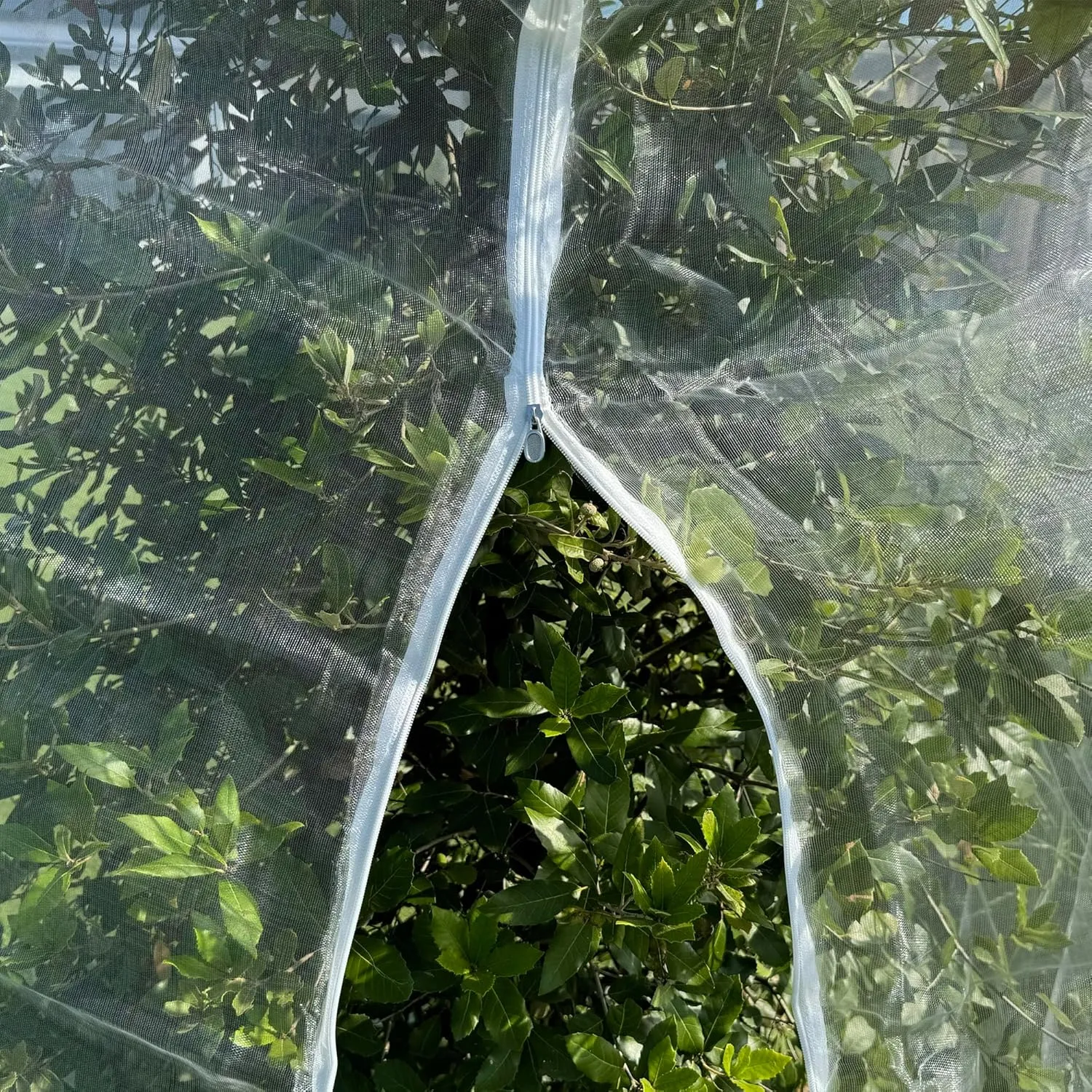 Fruit Tree Protection Bags 6.5x8.5 FT | Multiple Size Garden Netting for Fruit & Vegetable Protection | White Plant Net Cover for Blueberry & Tomato | Bird & Insect Mesh Fabric Protector