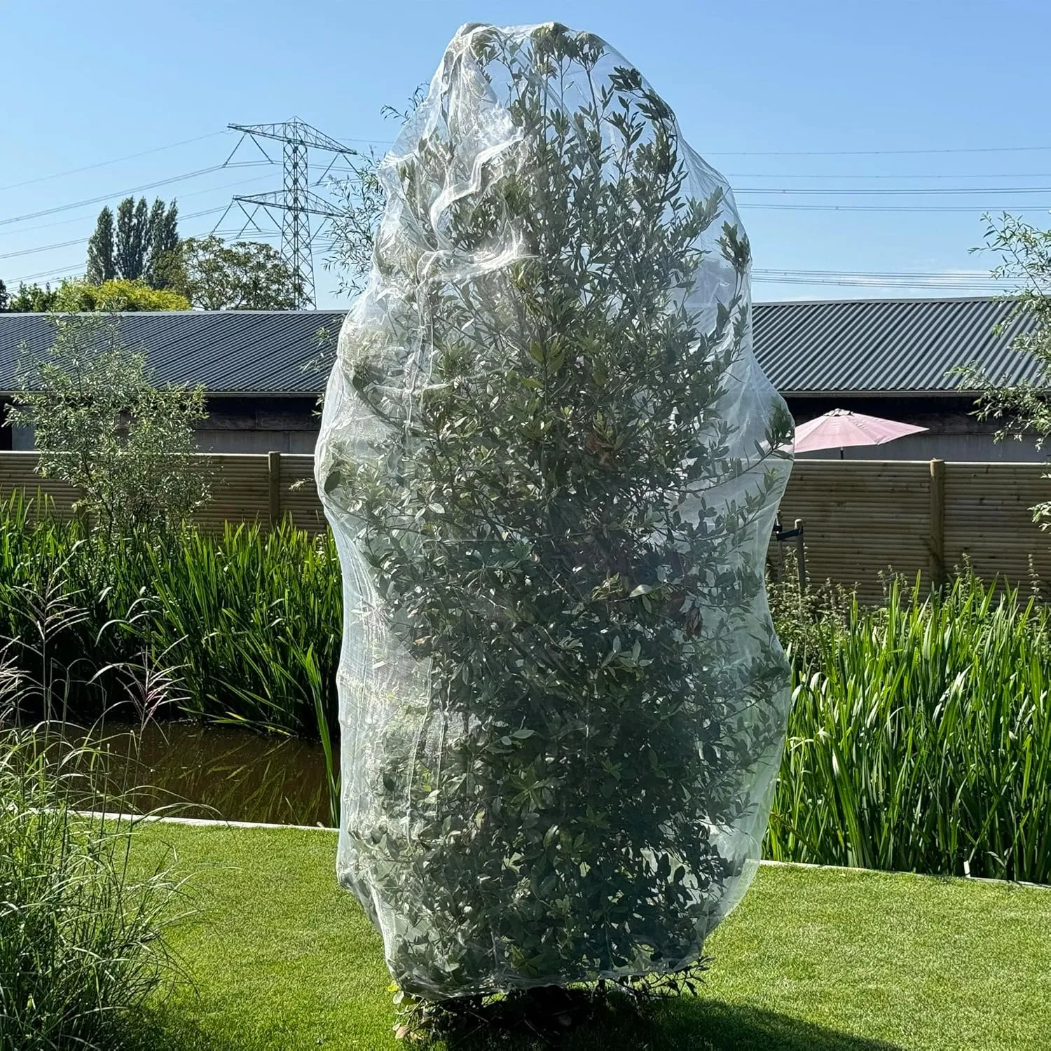 Fruit Tree Protection Bags 6.5x8.5 FT | Multiple Size Garden Netting for Fruit & Vegetable Protection | White Plant Net Cover for Blueberry & Tomato | Bird & Insect Mesh Fabric Protector