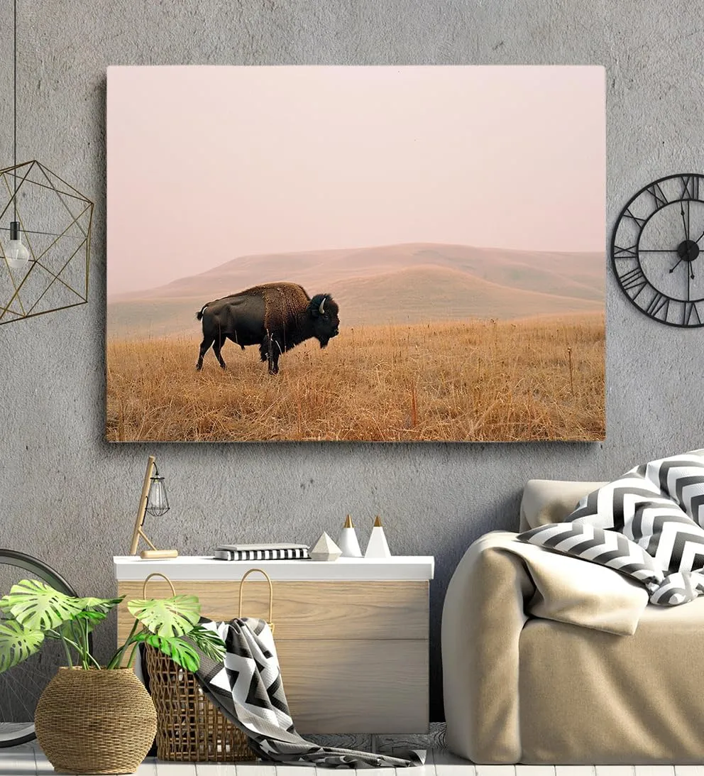 Generic Bison Wall Art Yellowstone National Park Prairie Bison animals Wildlife Pictures Rural scenery Natural walls decorated with modern art Living Room Bedroom Office (12x16in Framed,art)