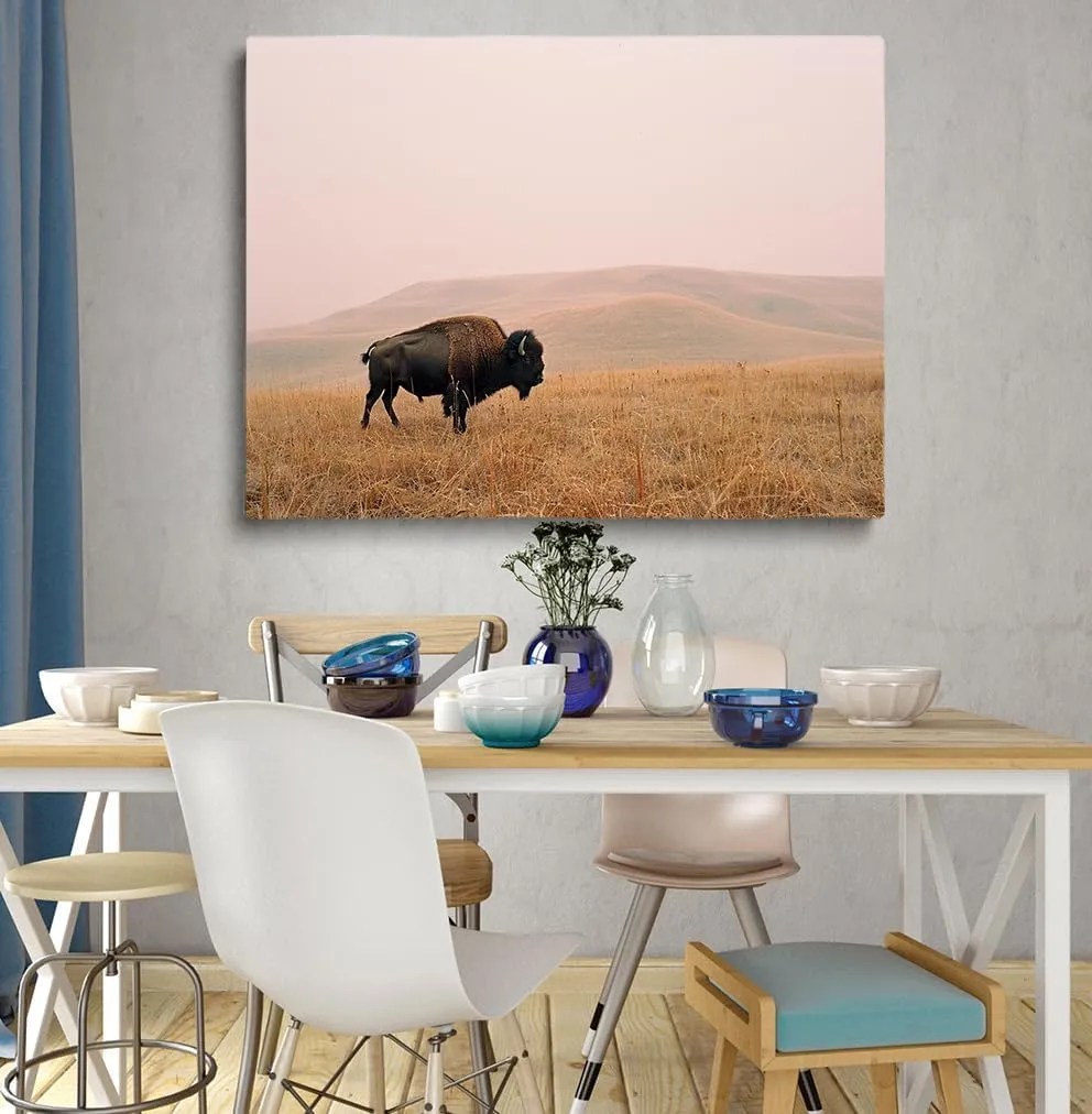 Generic Bison Wall Art Yellowstone National Park Prairie Bison animals Wildlife Pictures Rural scenery Natural walls decorated with modern art Living Room Bedroom Office (12x16in Framed,art)