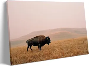 Generic Bison Wall Art Yellowstone National Park Prairie Bison animals Wildlife Pictures Rural scenery Natural walls decorated with modern art Living Room Bedroom Office (12x16in Framed,art)