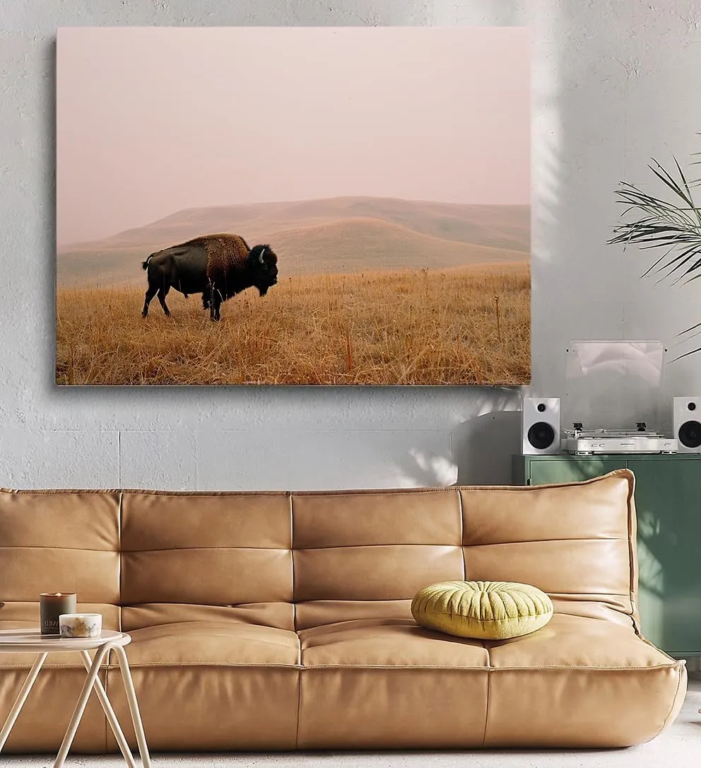 Generic Bison Wall Art Yellowstone National Park Prairie Bison animals Wildlife Pictures Rural scenery Natural walls decorated with modern art Living Room Bedroom Office (12x16in Framed,art)